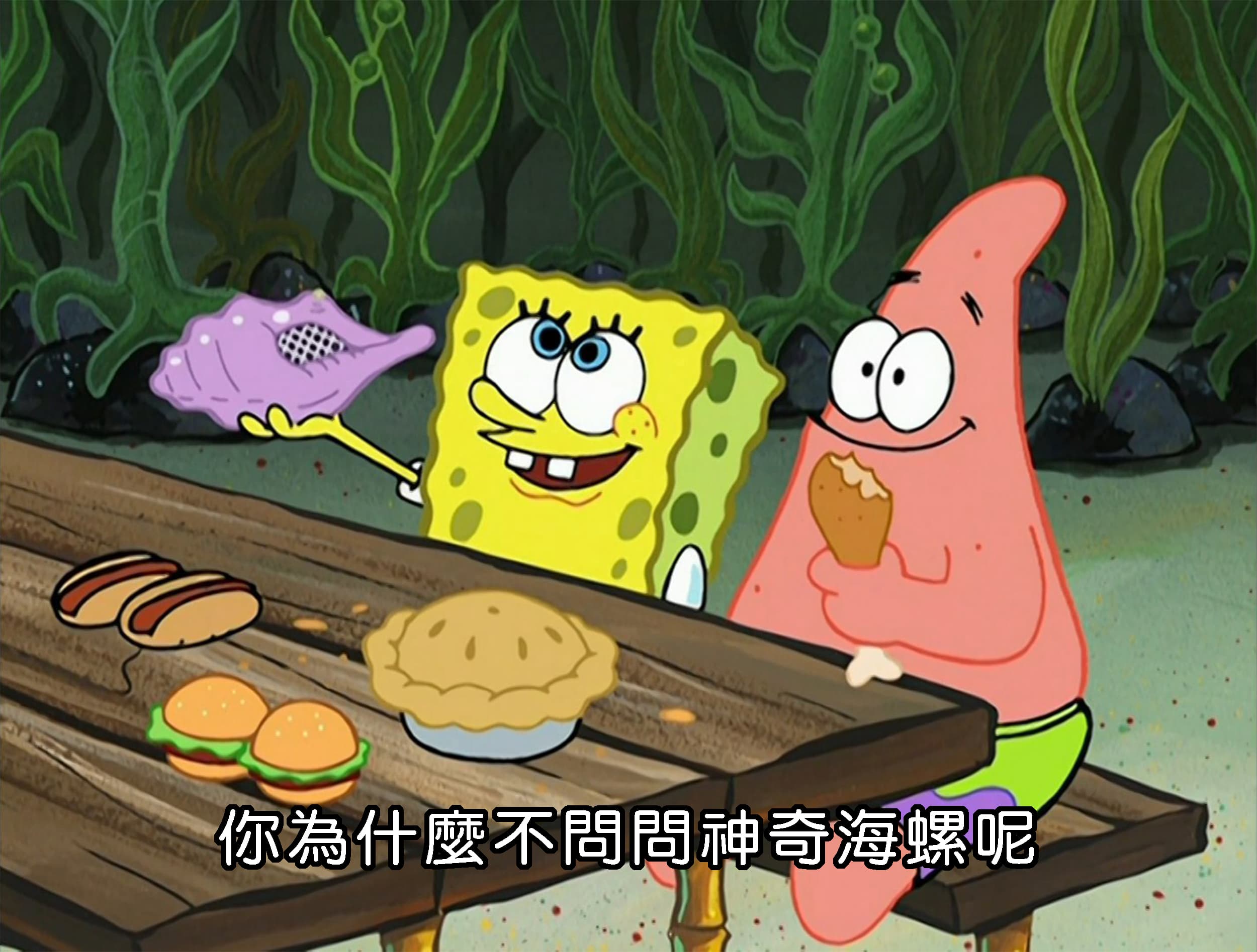 你為什麼不問問神奇海螺呢