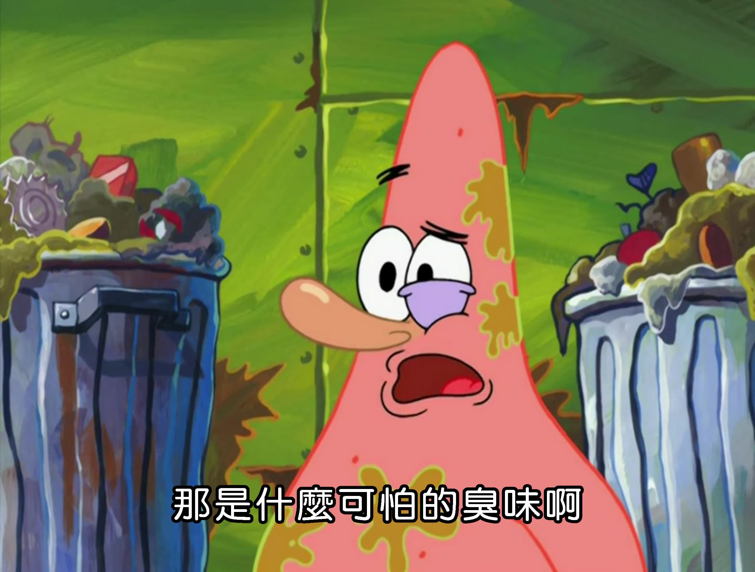 那是什麼可怕的臭味啊