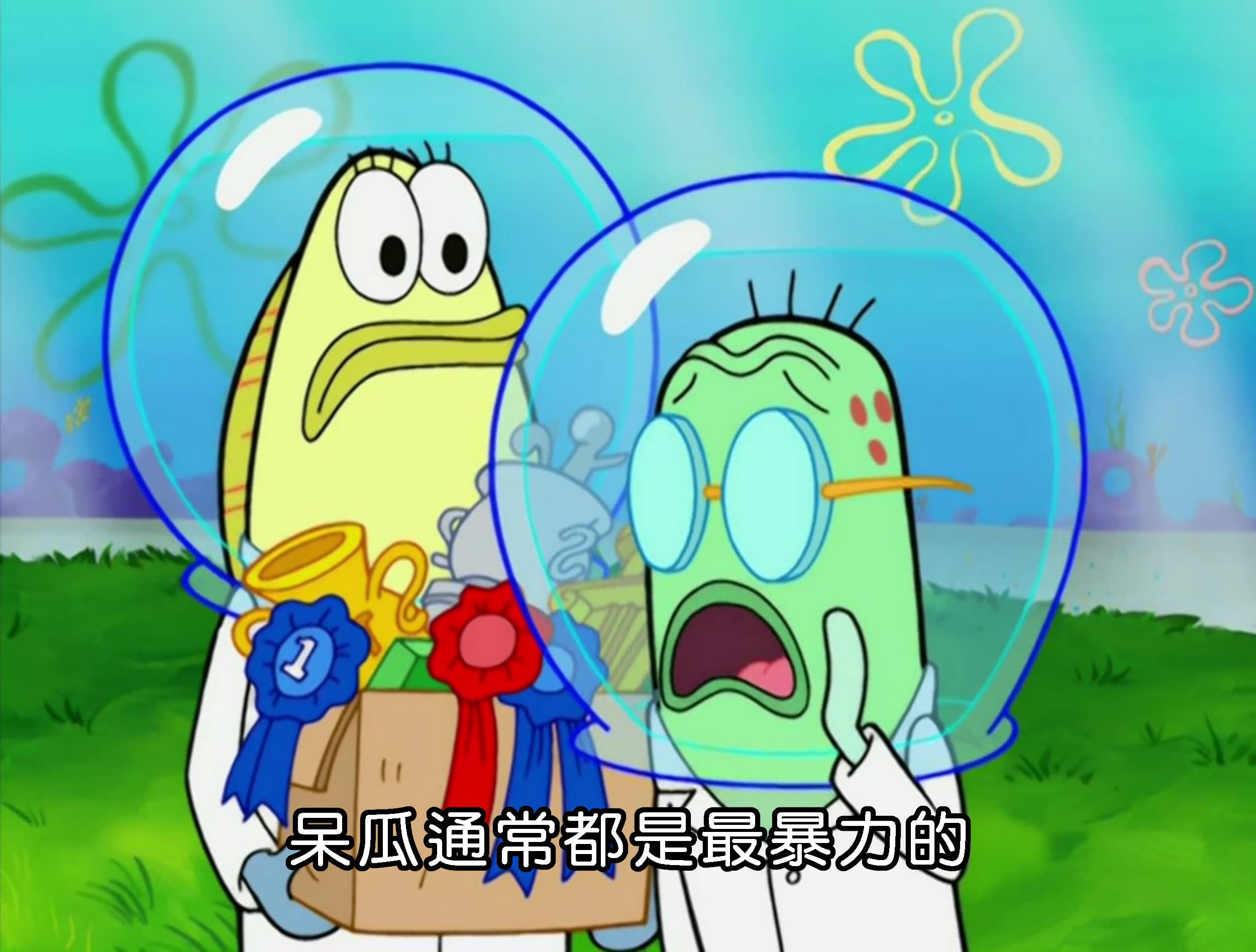 呆瓜通常都是最暴力的