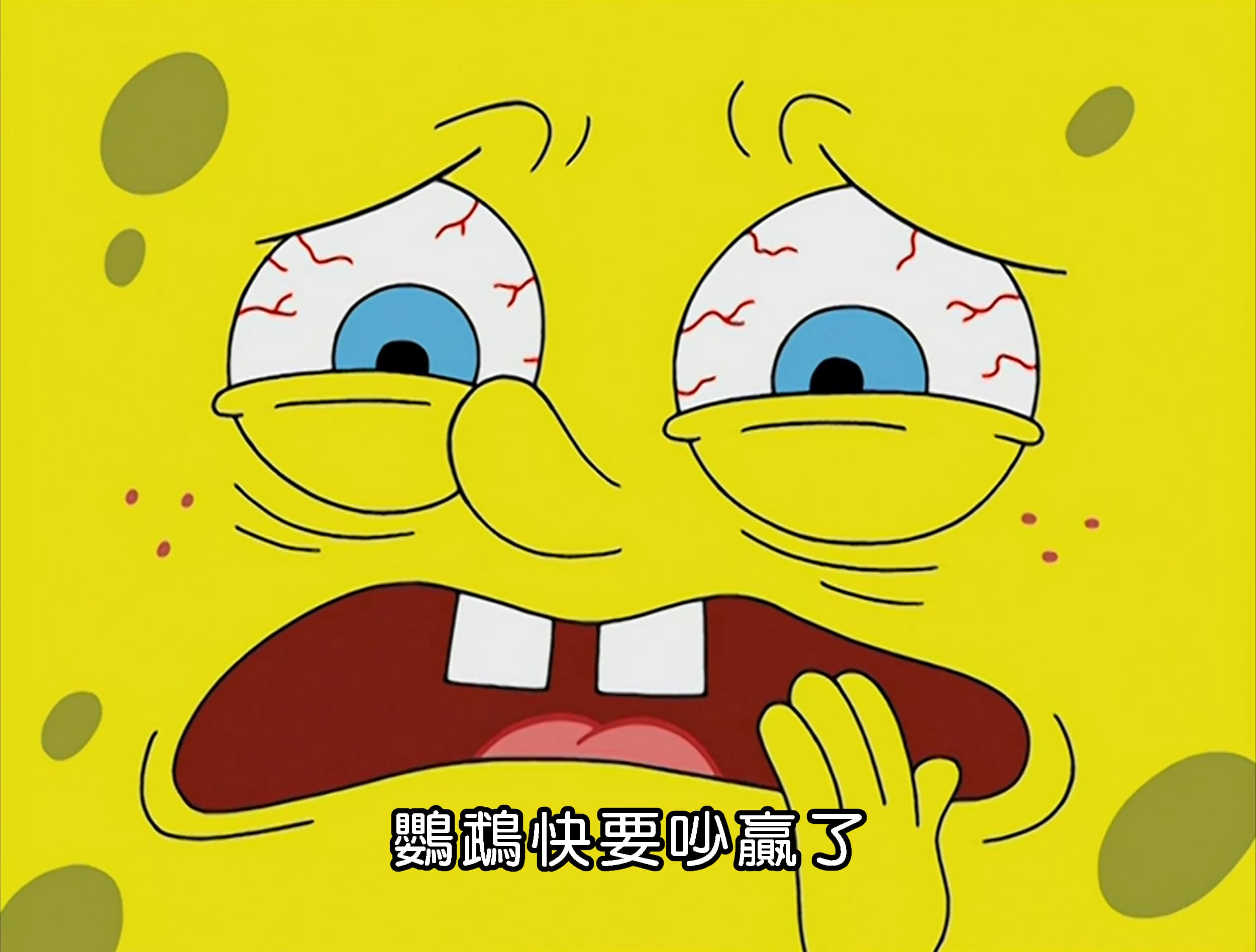 鸚鵡快要吵贏了