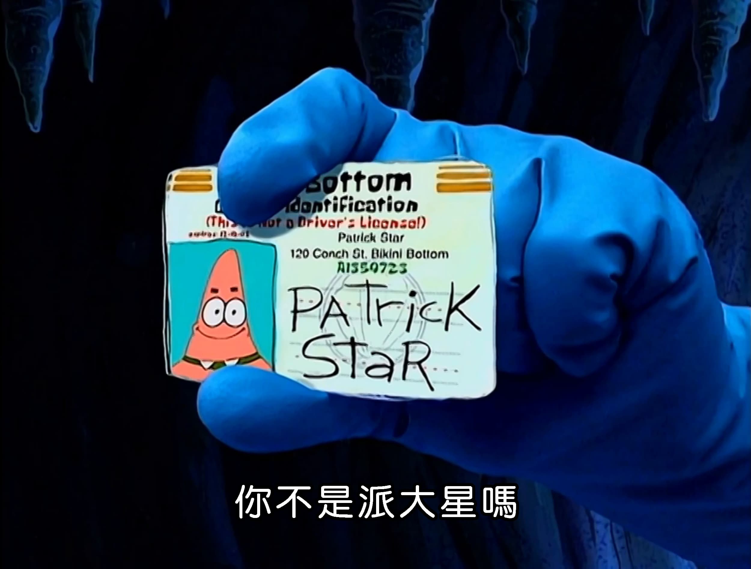 你不是派大星嗎