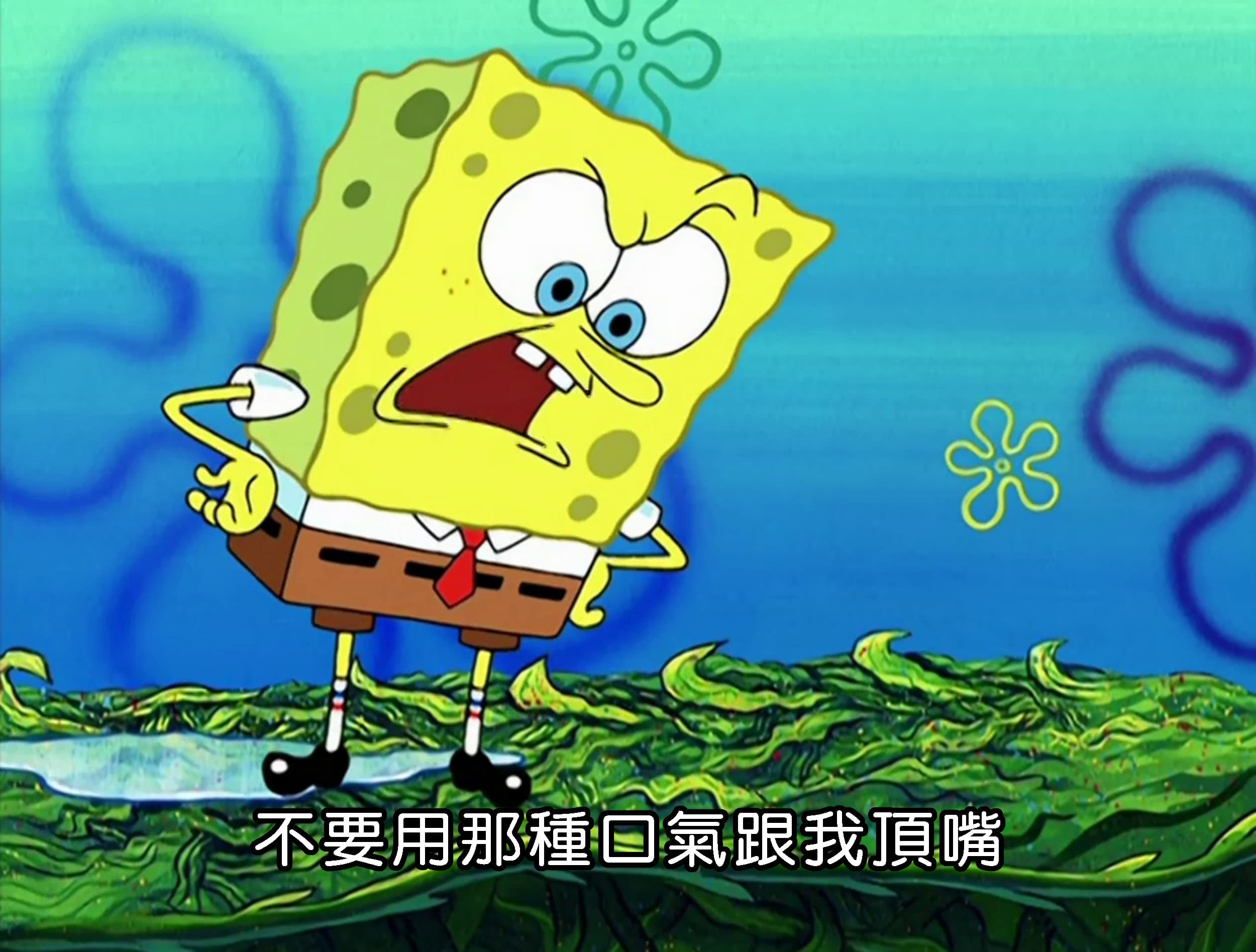 不要用那種口氣跟我頂嘴