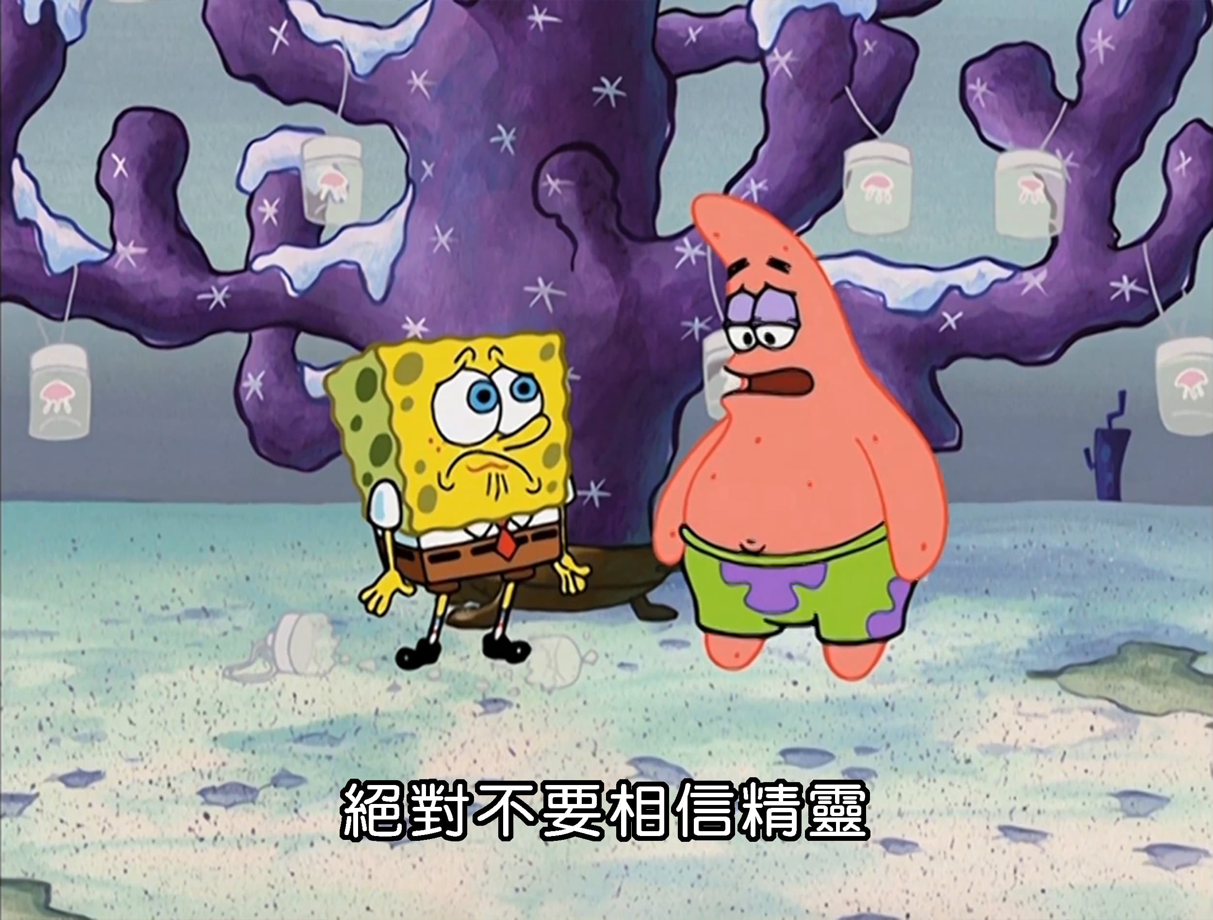 絕對不要相信精靈