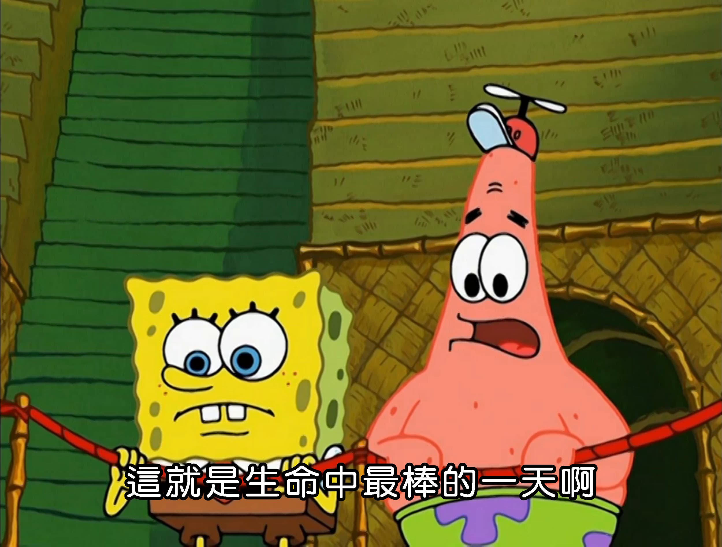 這就是生命中最棒的一天啊