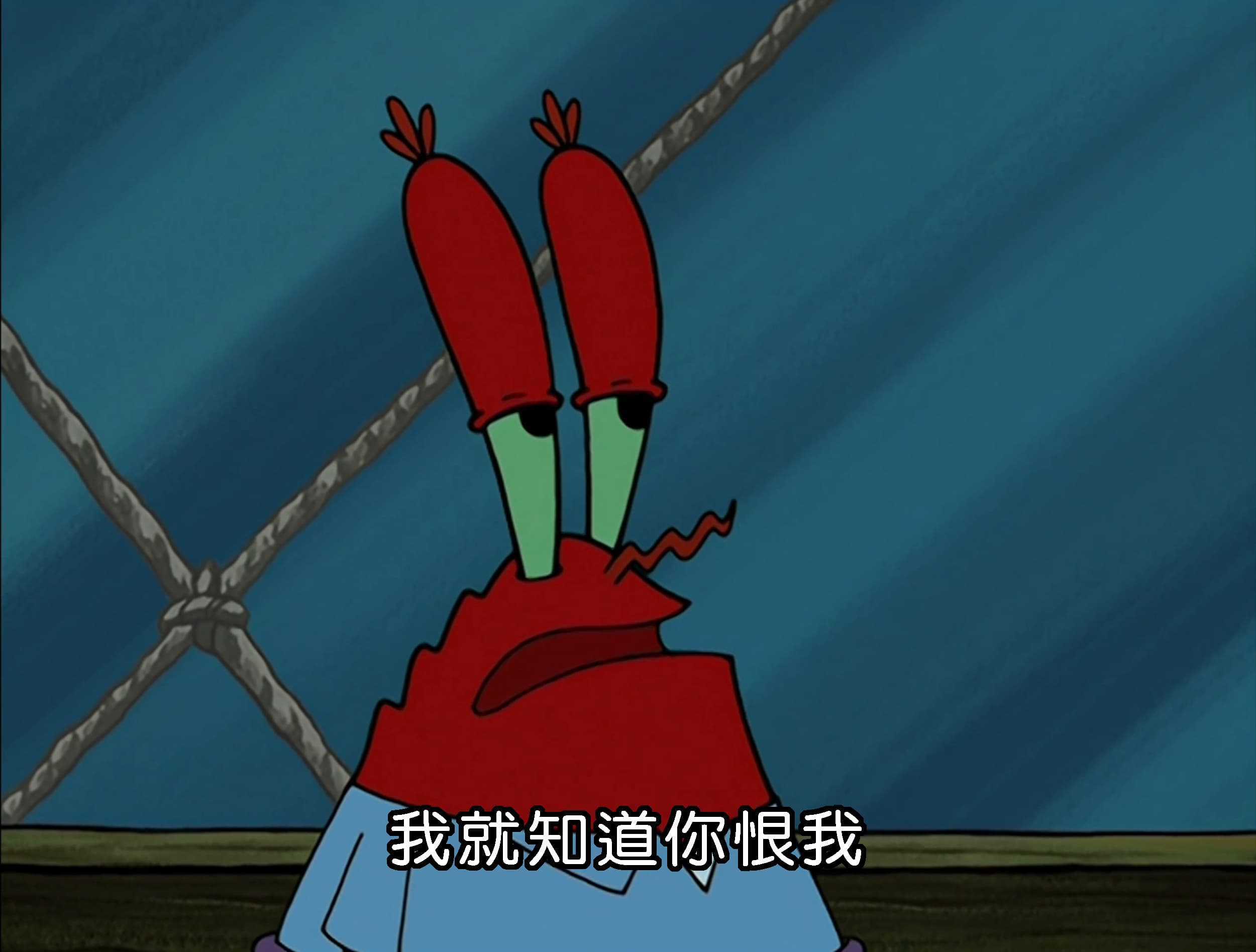 我就知道你恨我