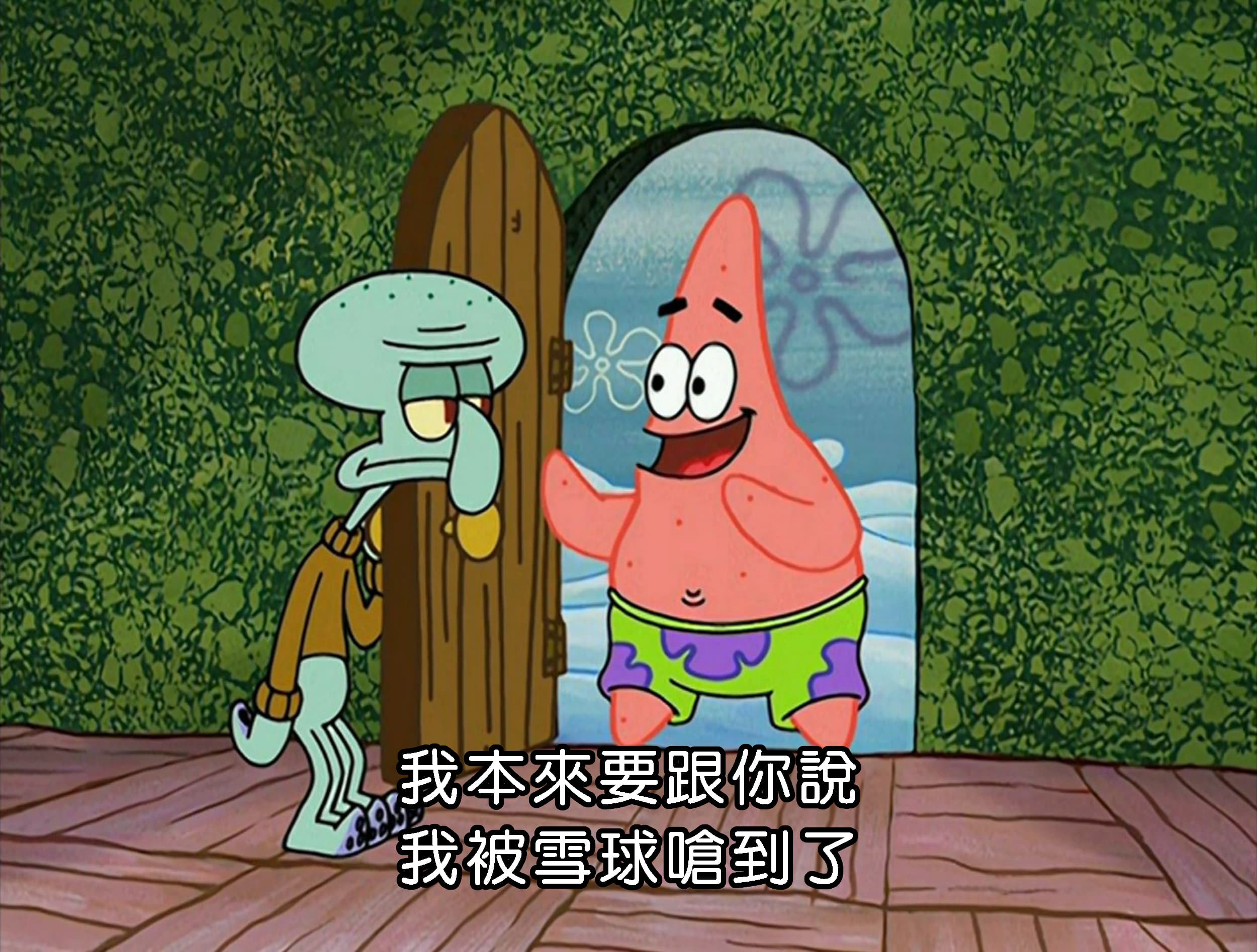 我本來要跟你說 我被雪球嗆到了