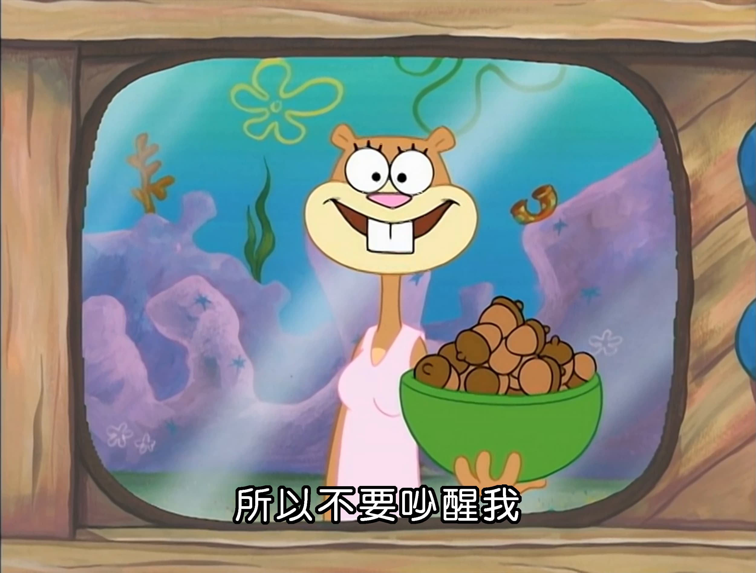 所以不要吵醒我