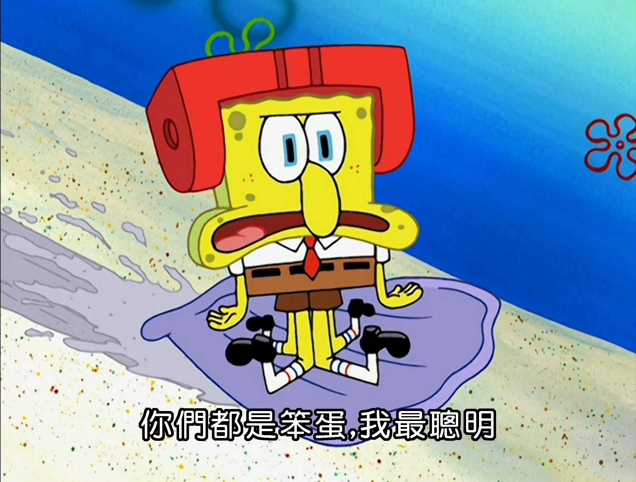 你們都是笨蛋 我最聰明