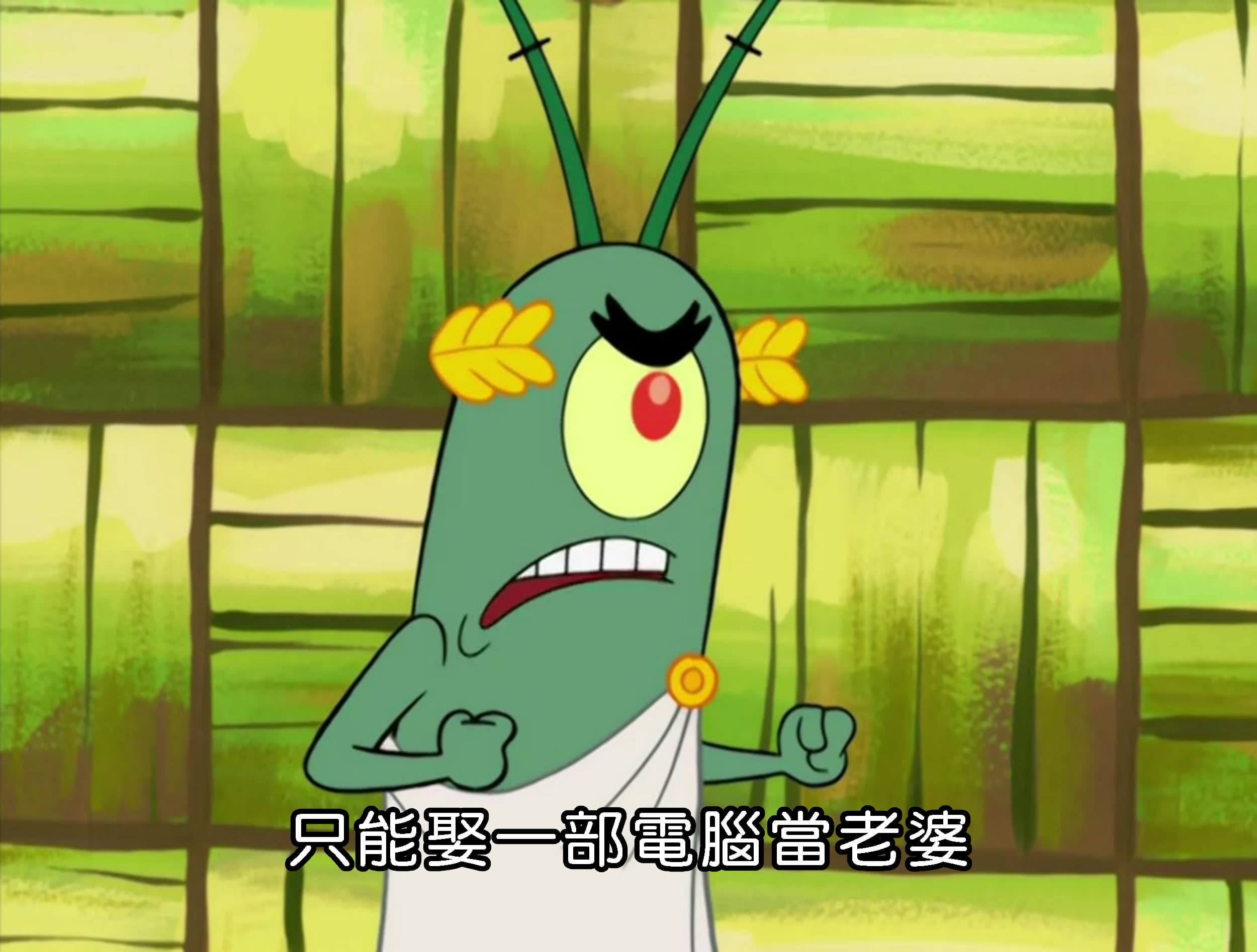 只能娶一部電腦當老婆