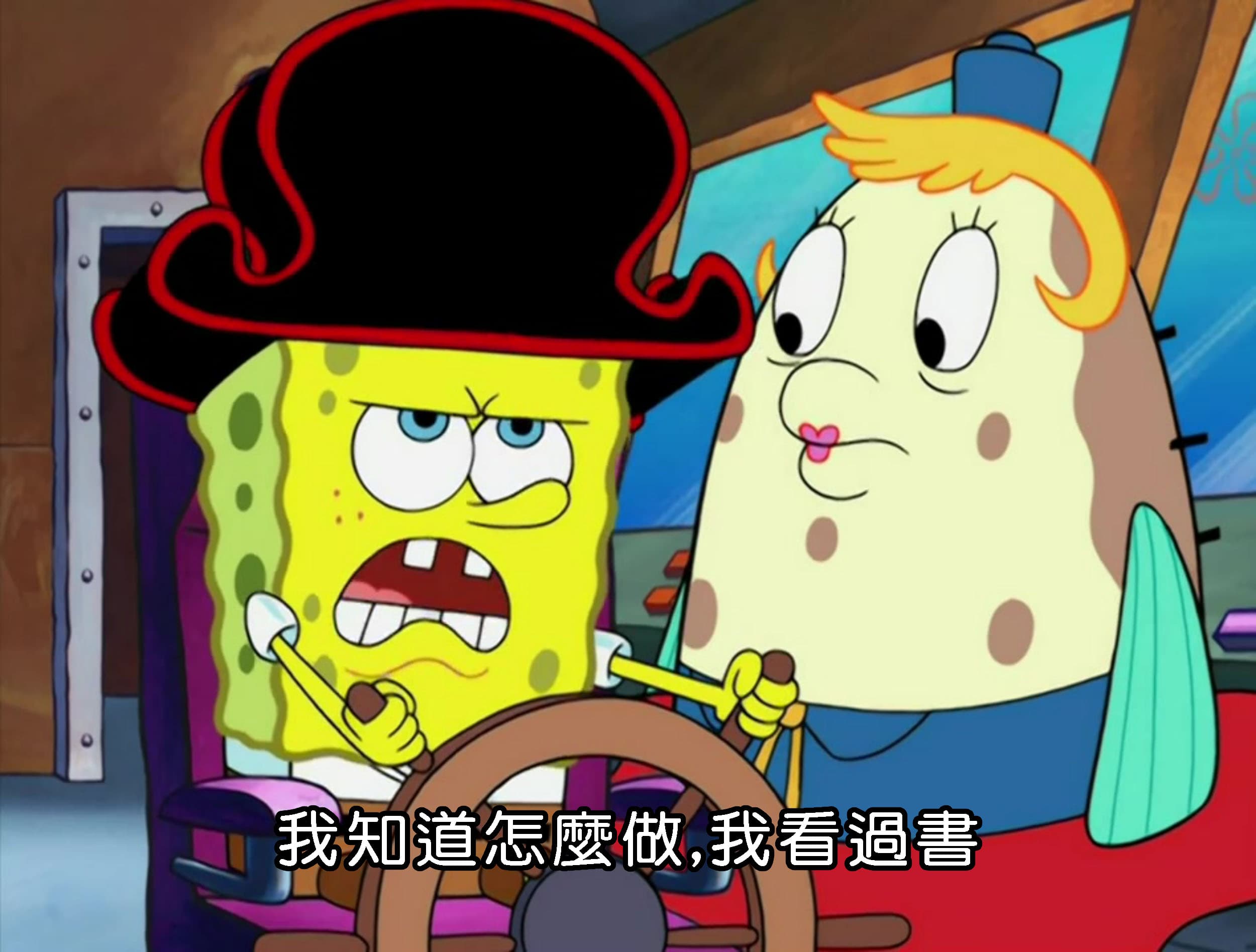 我知道怎麼做 我看過書