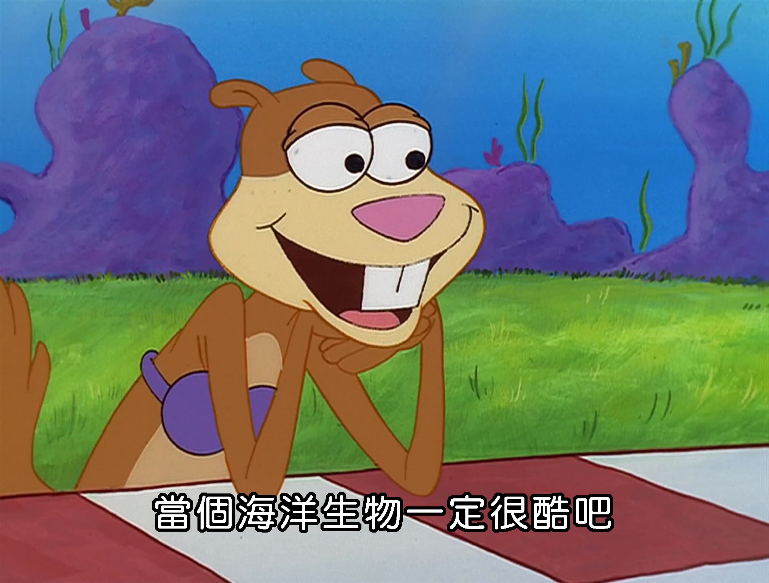 當個海洋生物一定很酷吧