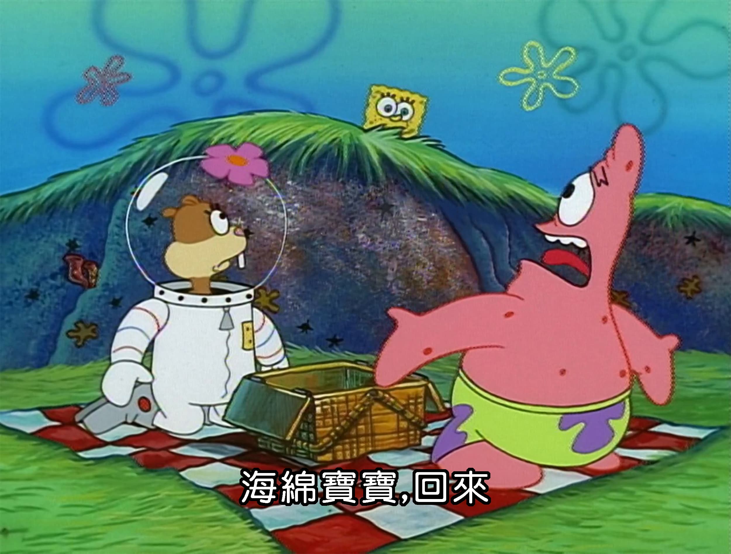 海綿寶寶 回來