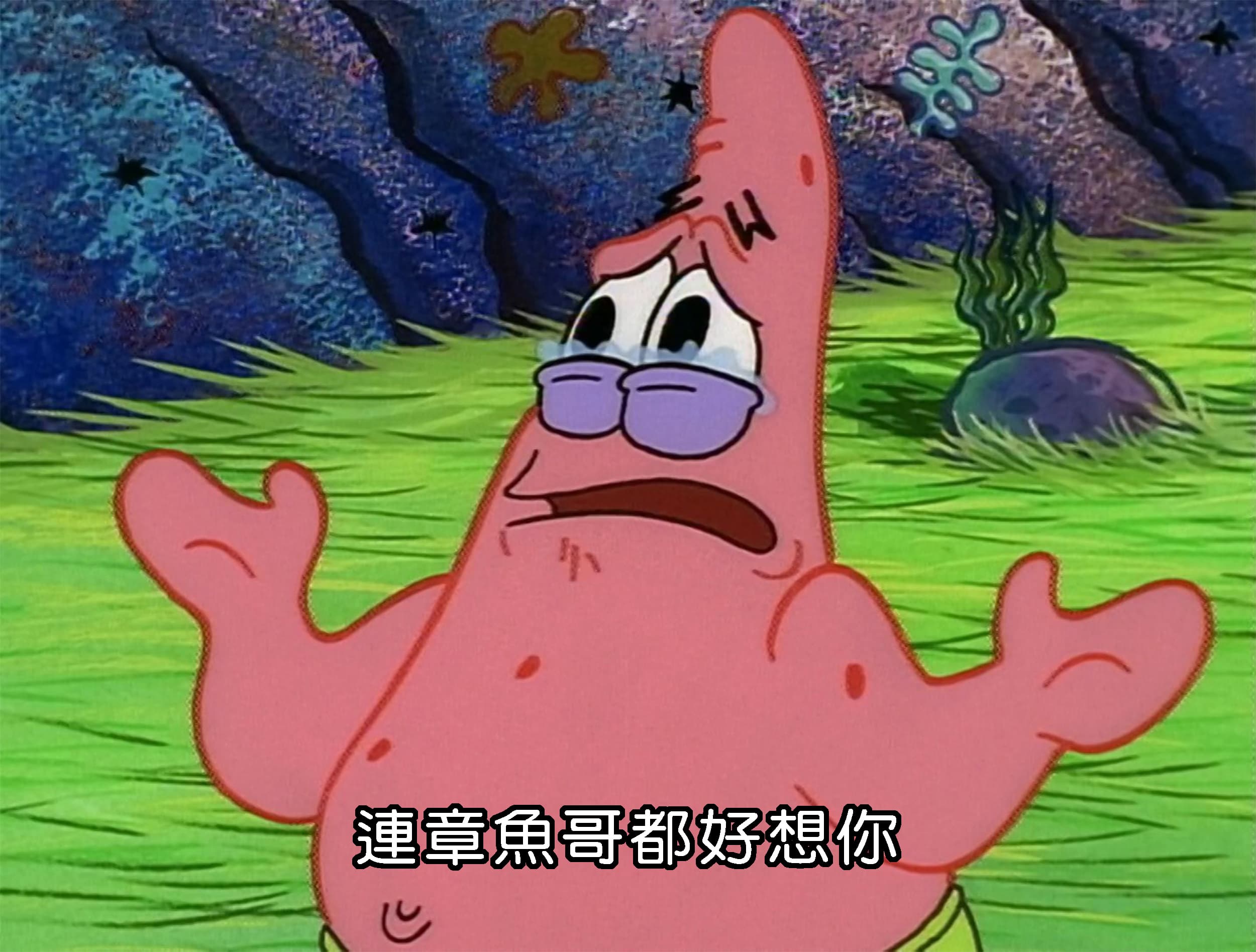 連章魚哥都好想你