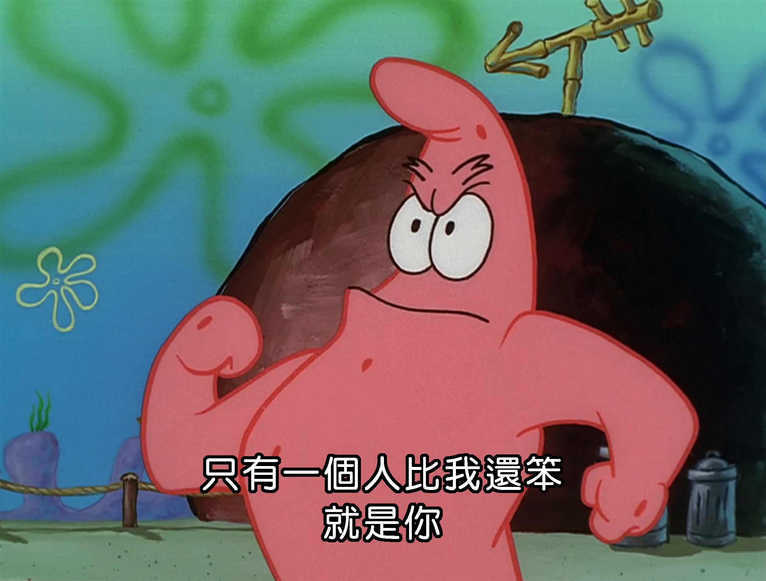 只有一個人比我還笨 就是你