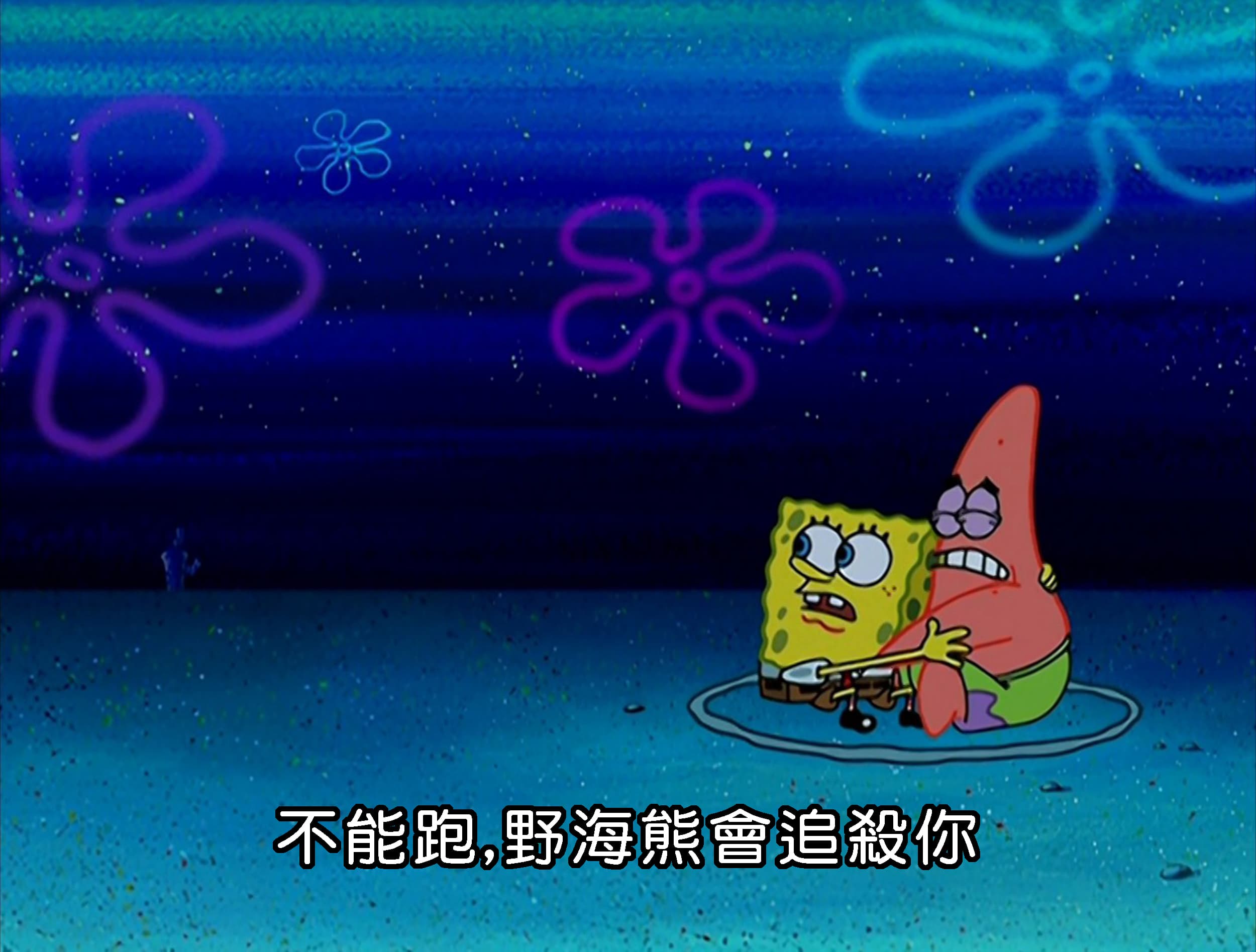 不能跑 野海熊會追殺你