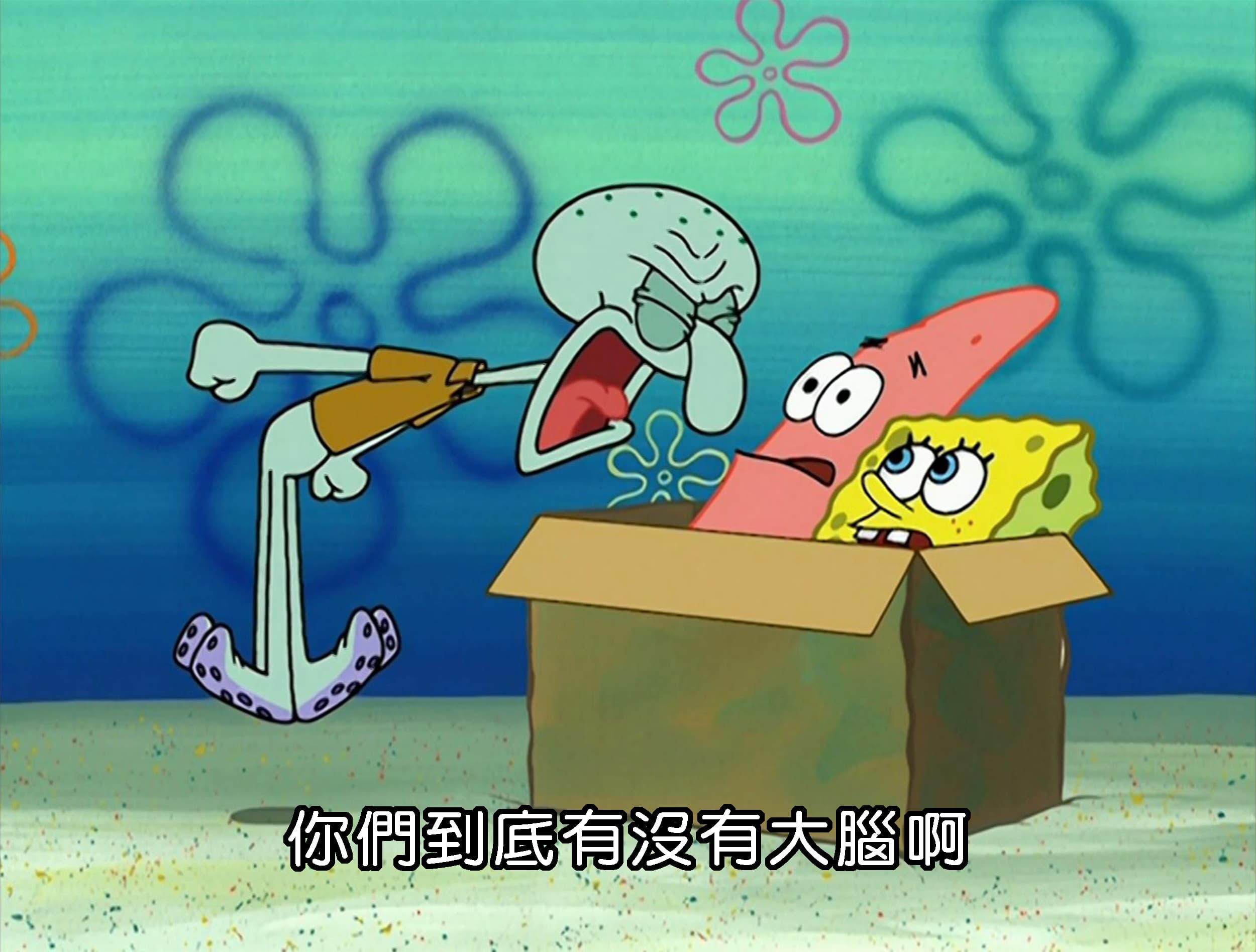 你們到底有沒有大腦啊