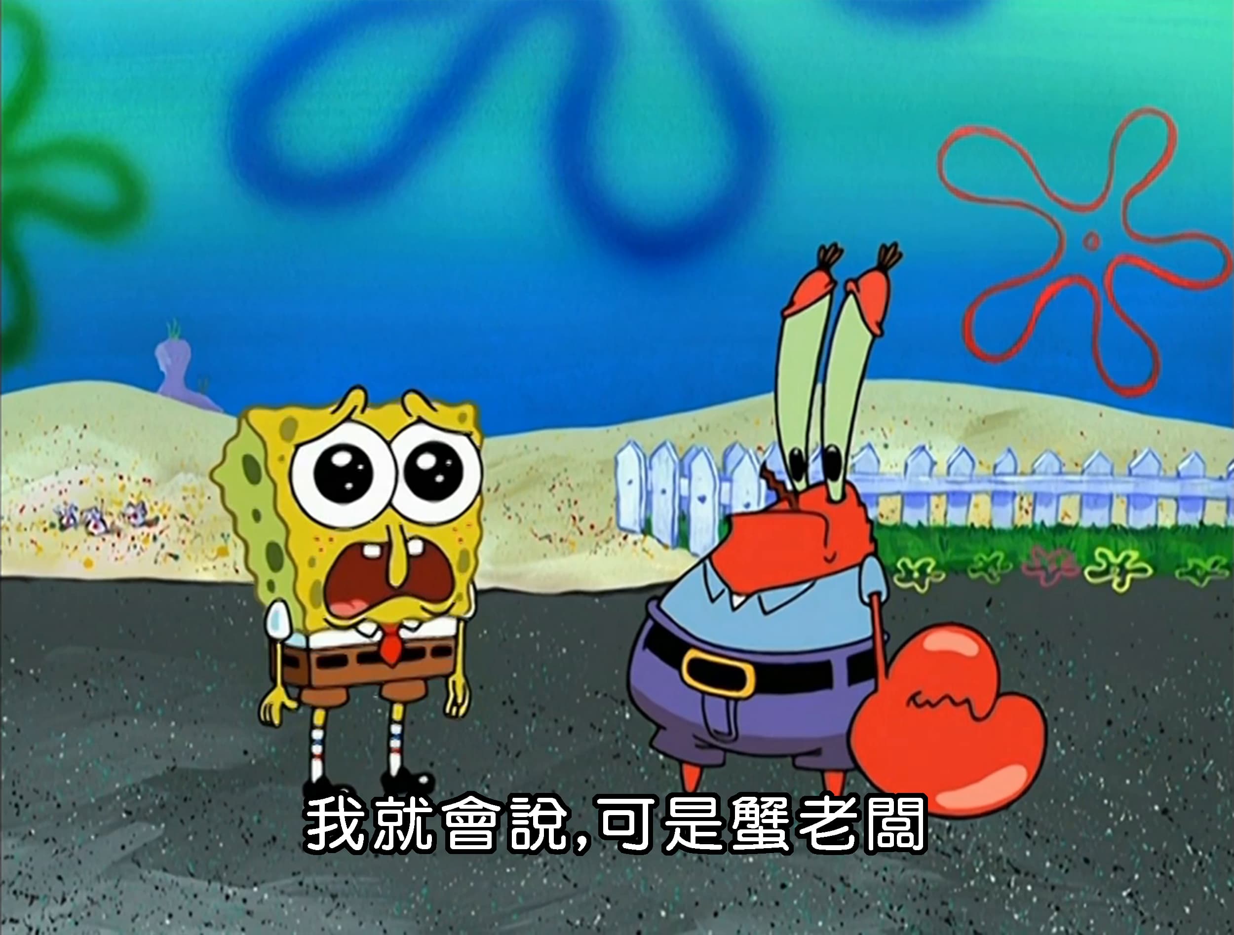 我就會說 可是蟹老闆