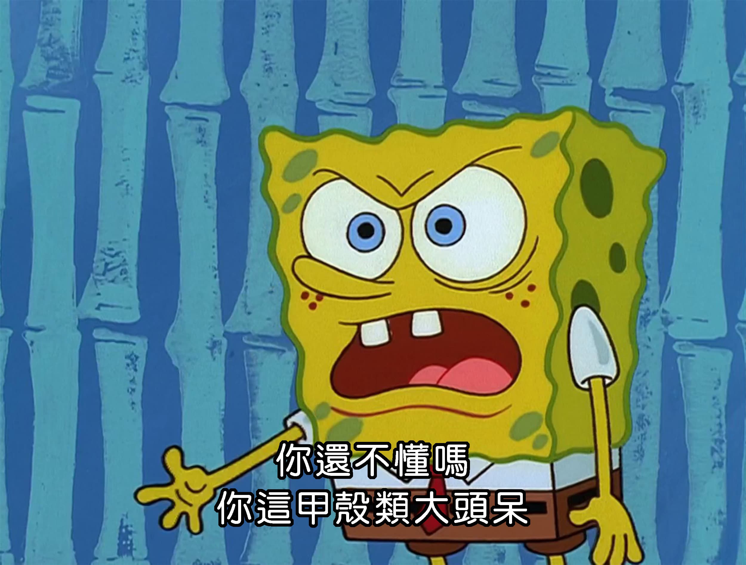 你還不懂嗎你這甲殼類大頭呆