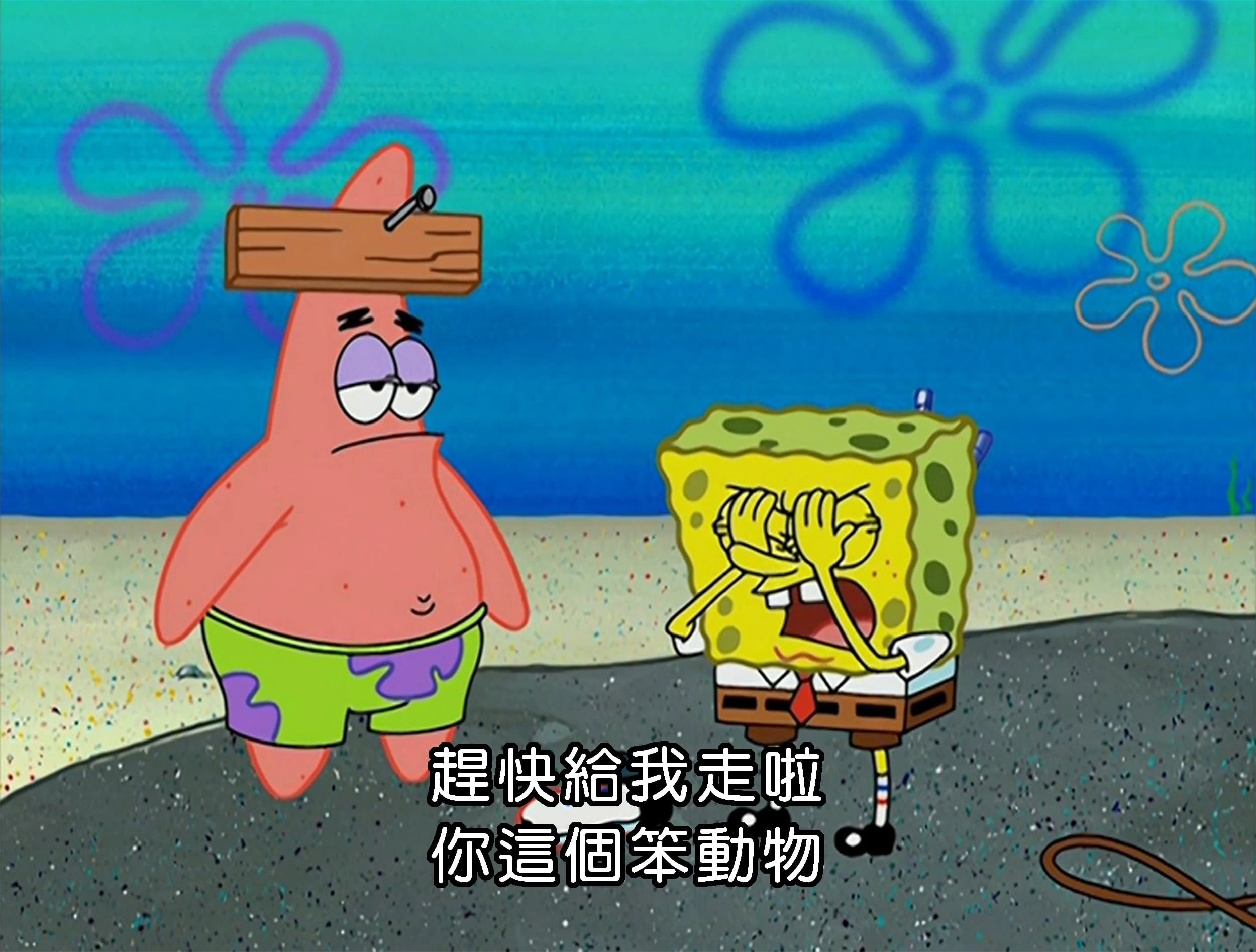 趕快給我走啦 你這個笨動物