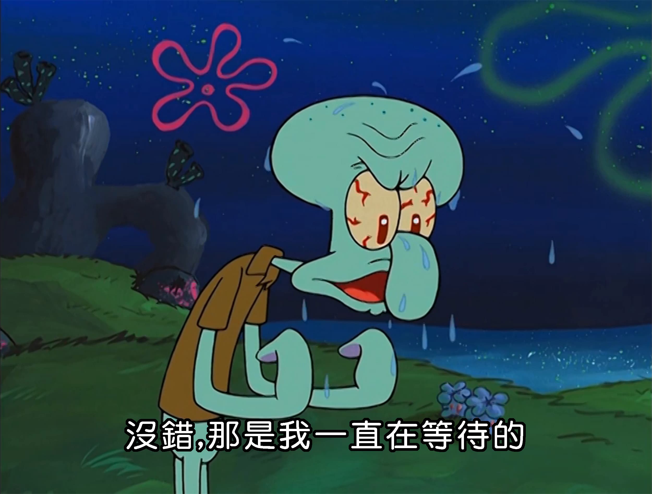 沒錯 那是我一直在等待的