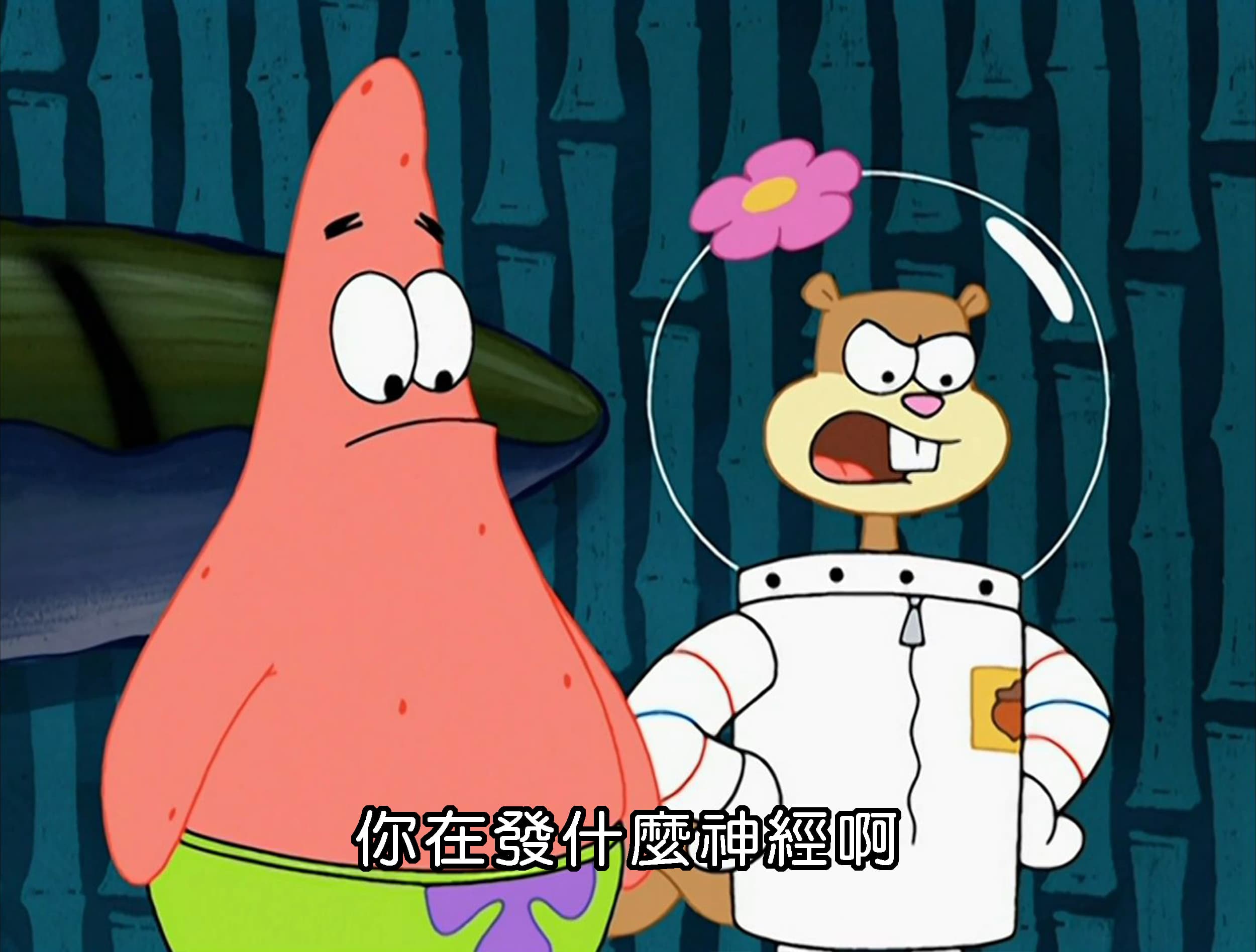 你在發什麼神經啊