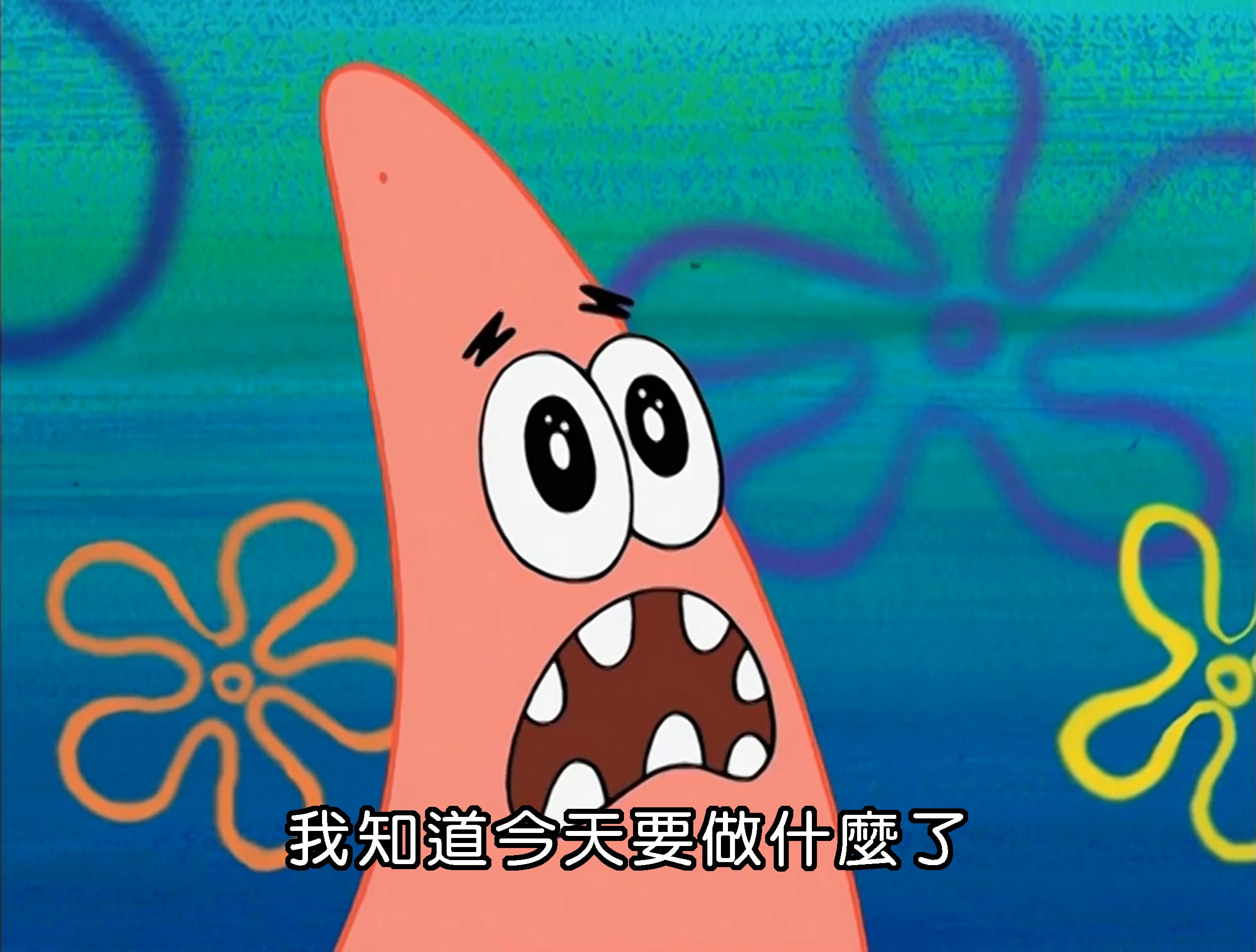 我知道今天要做什麼了