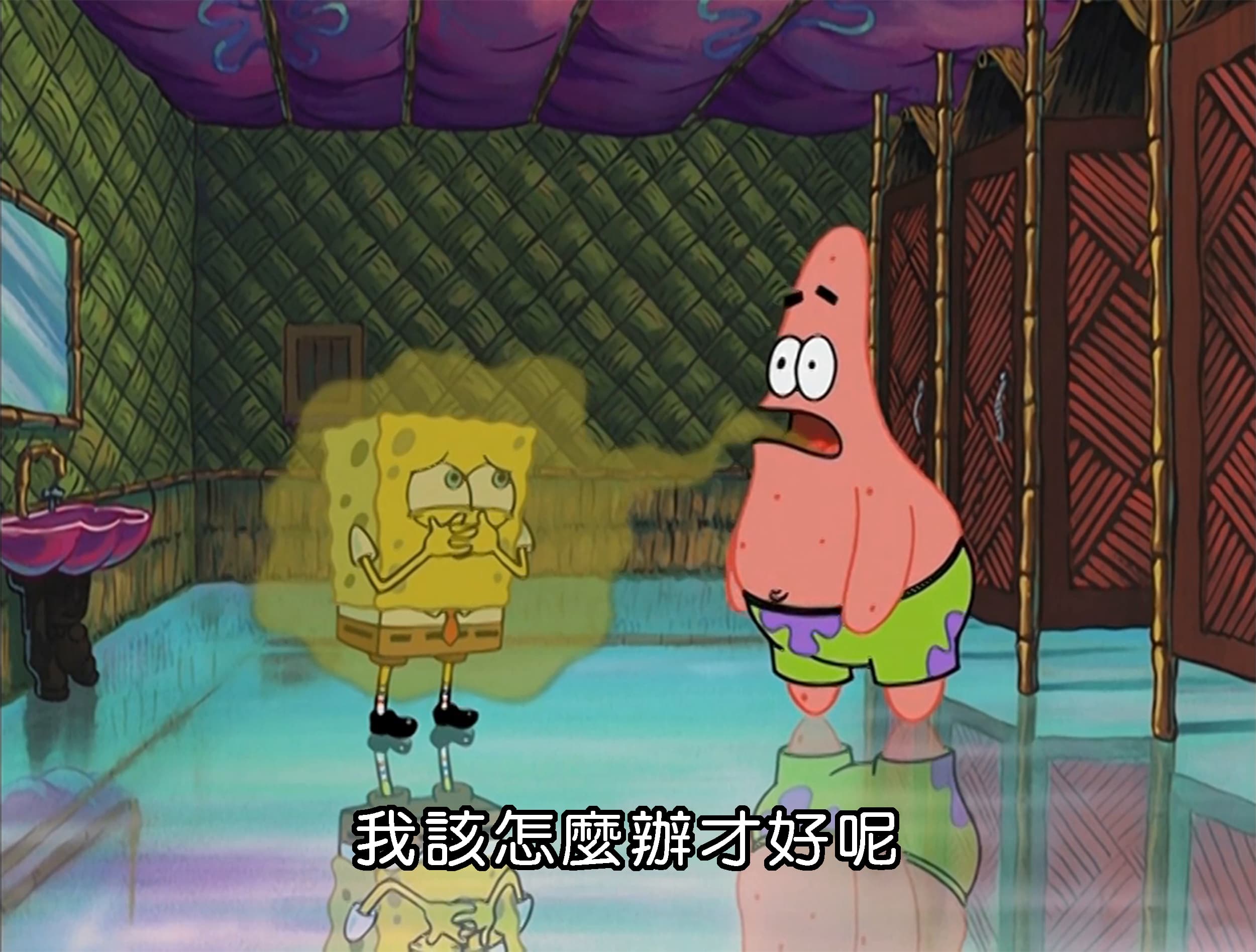 我該怎麼辦才好呢