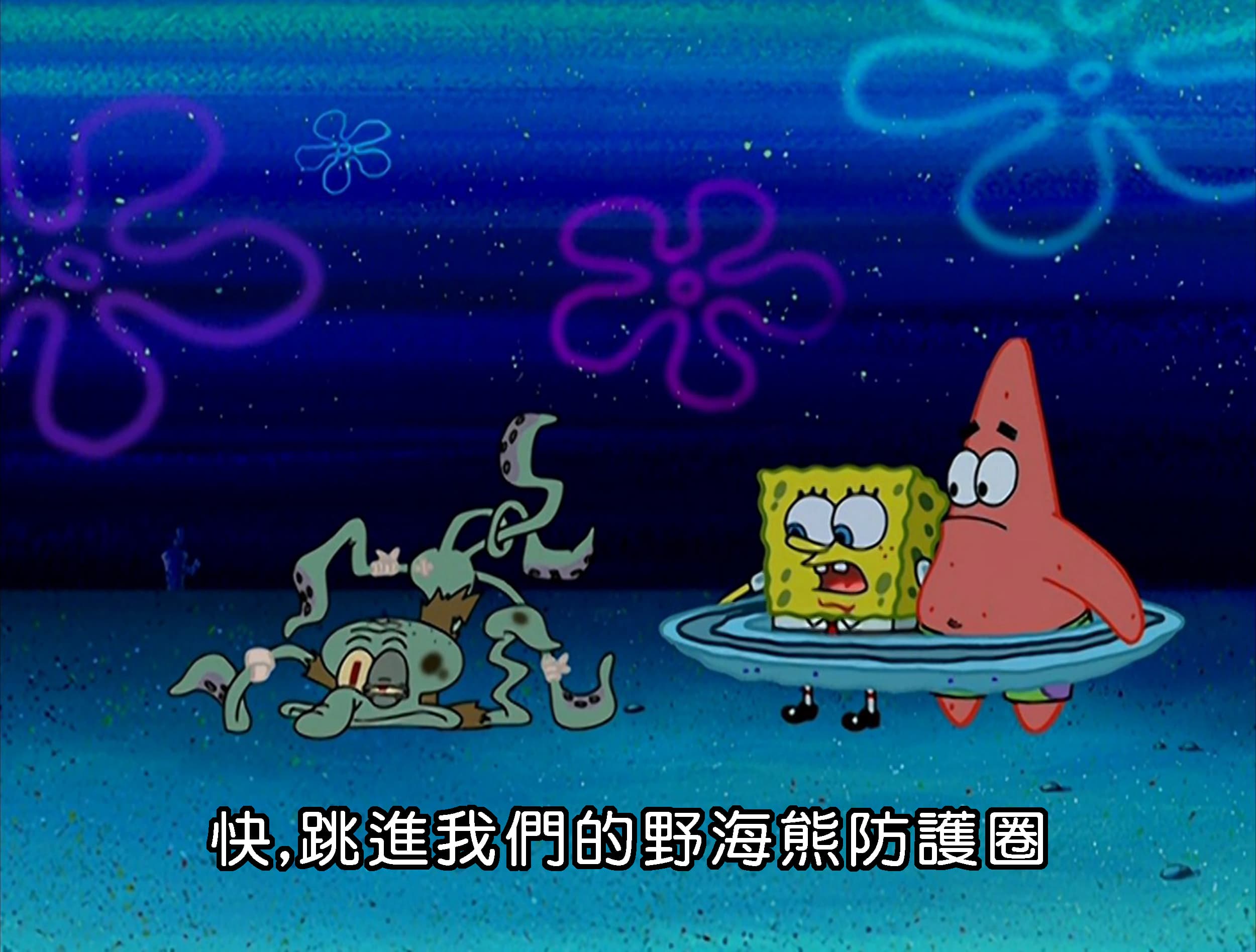 快 跳進我們的野海熊防護圈