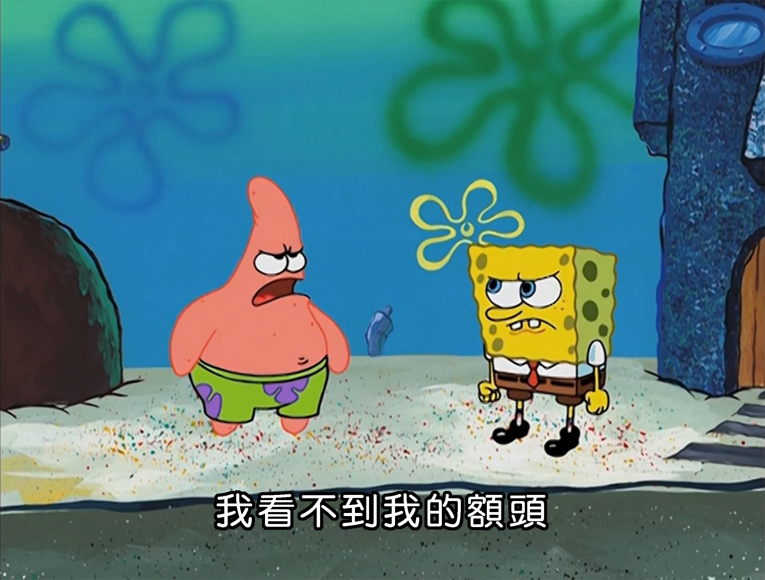 我看不到我的額頭