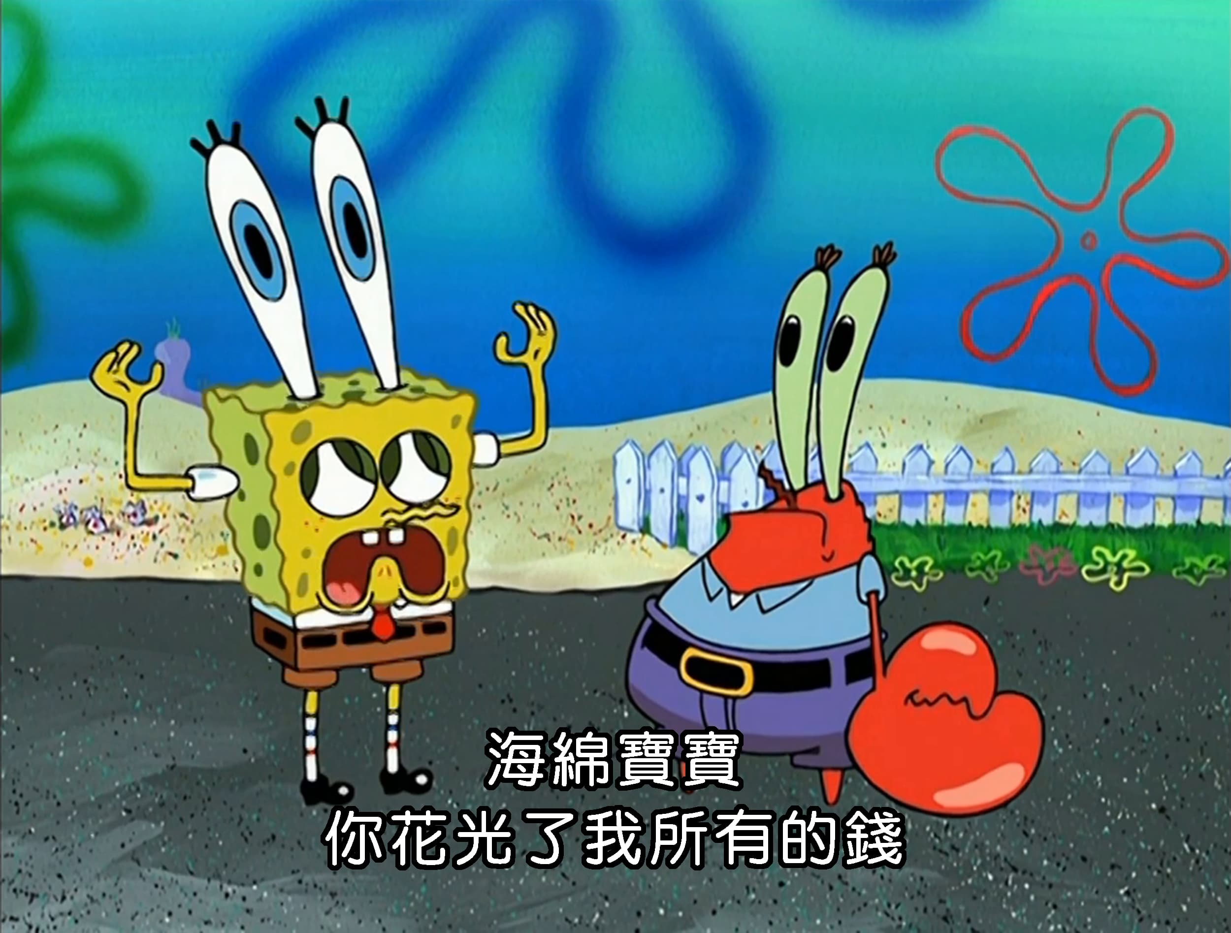 海綿寶寶 你花光了我所有的錢