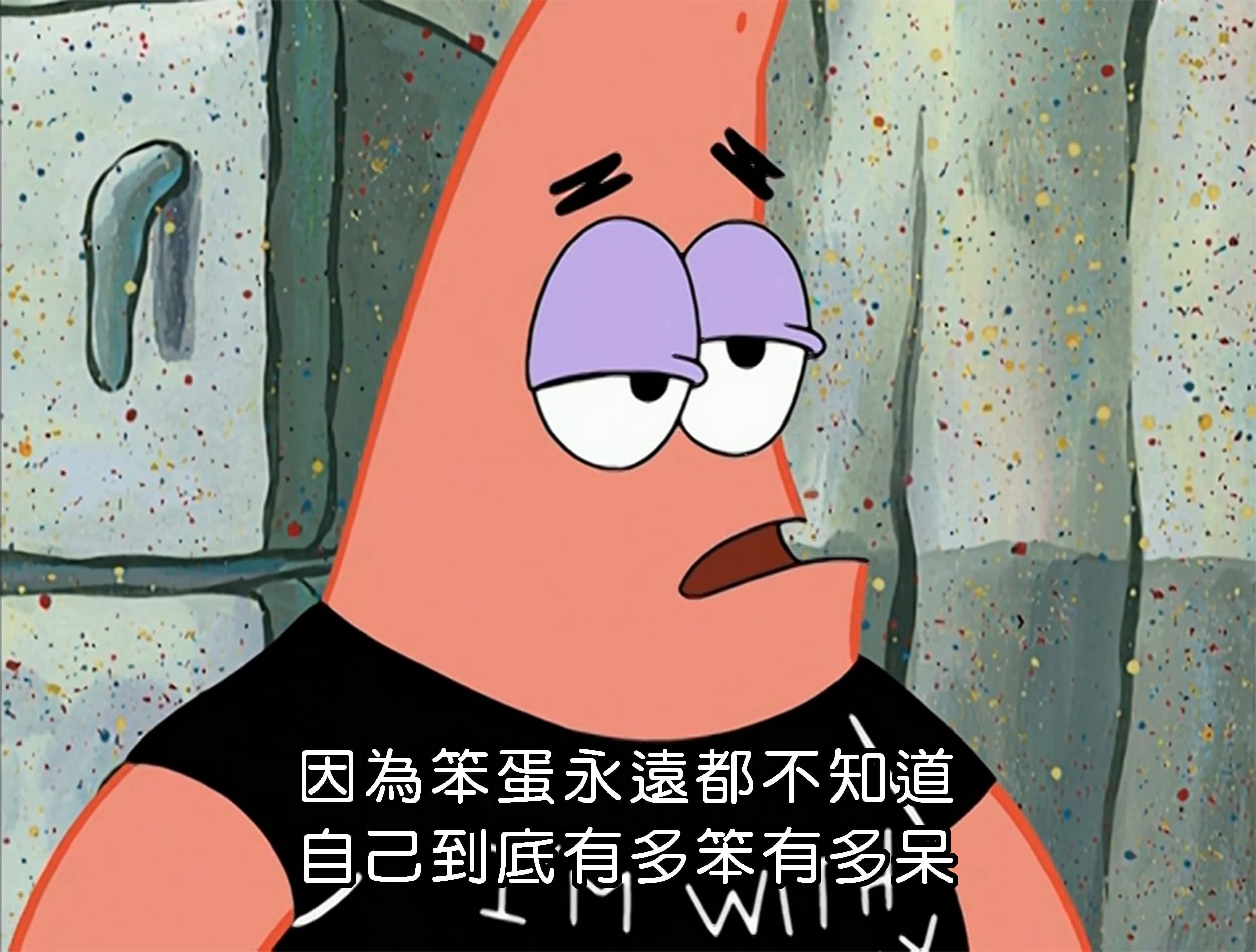 因為笨蛋永遠都不知道自己到底有多笨有多呆