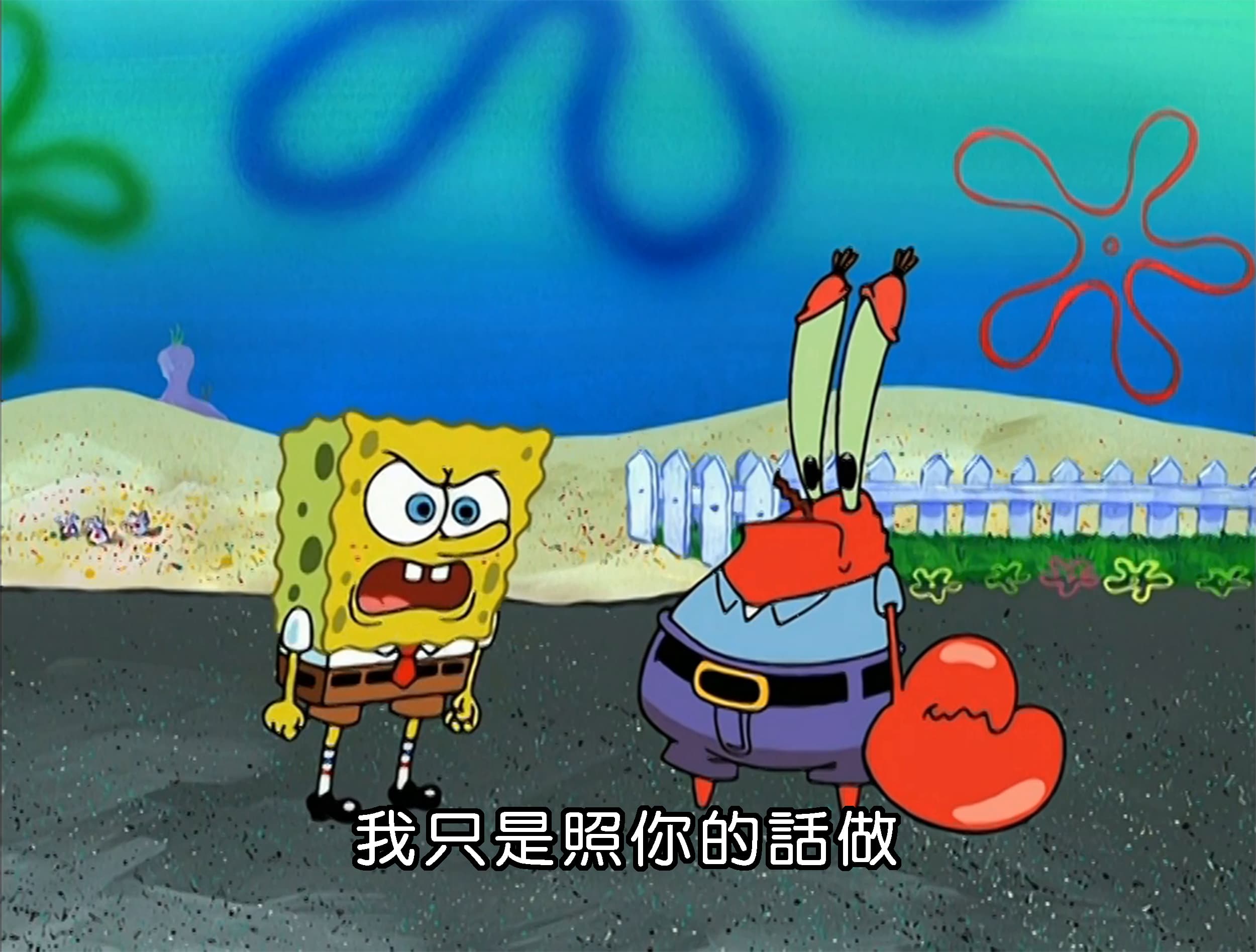 我只是照你的話做