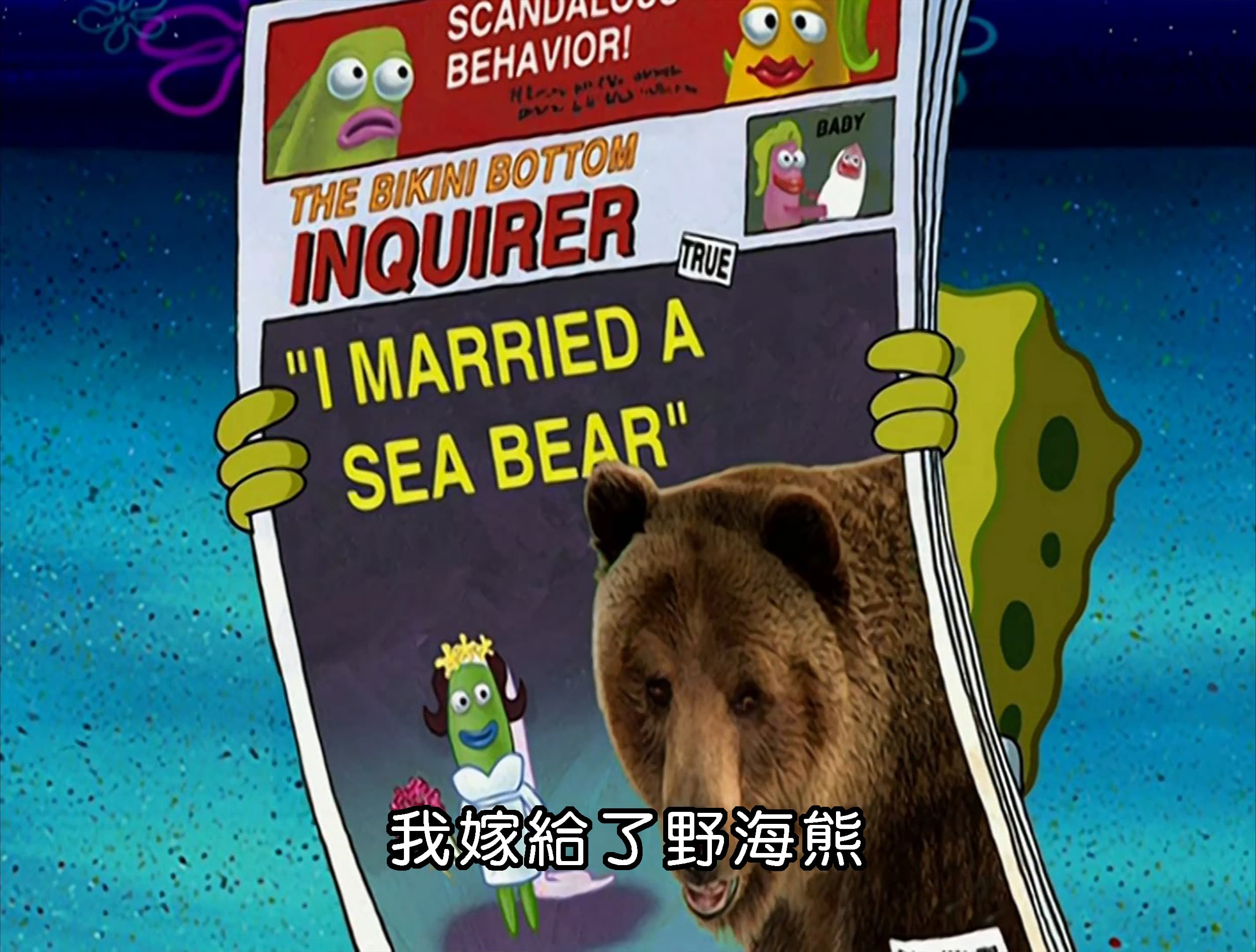我嫁給了野海熊