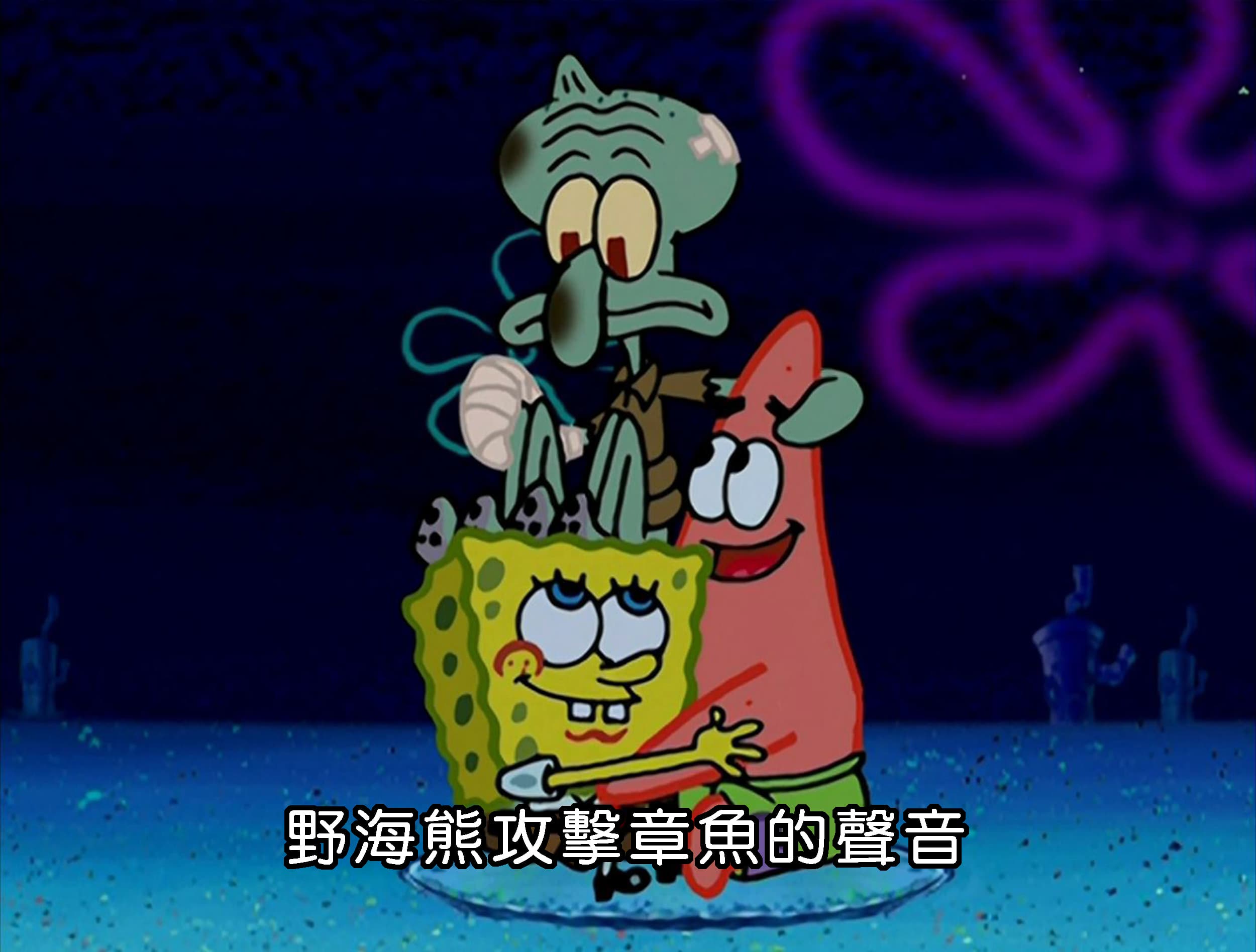 野海熊攻擊章魚的聲音