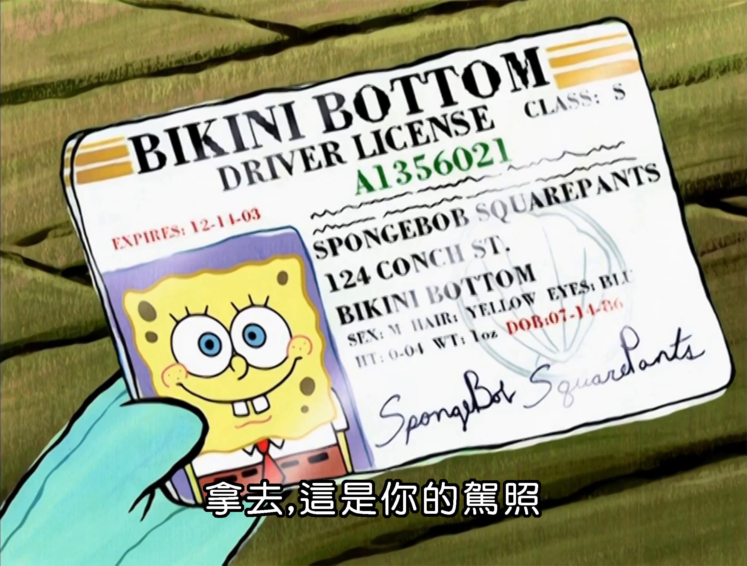 拿去 這是你的駕照