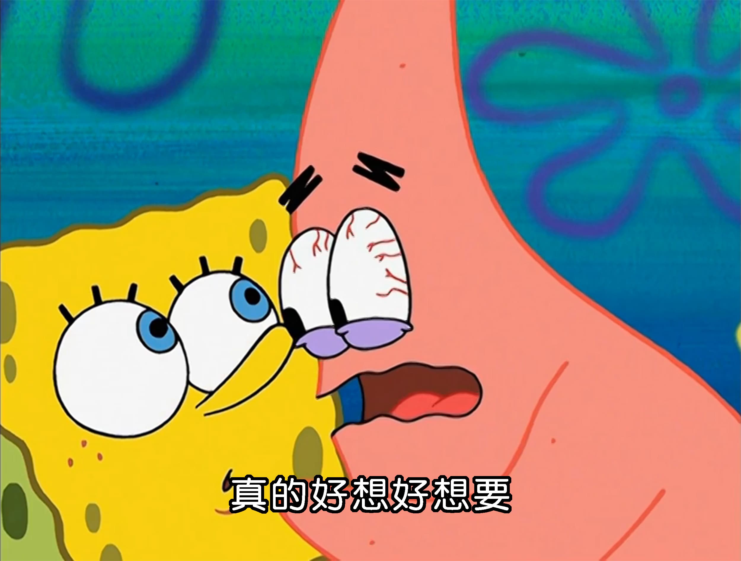 真的好想好想要