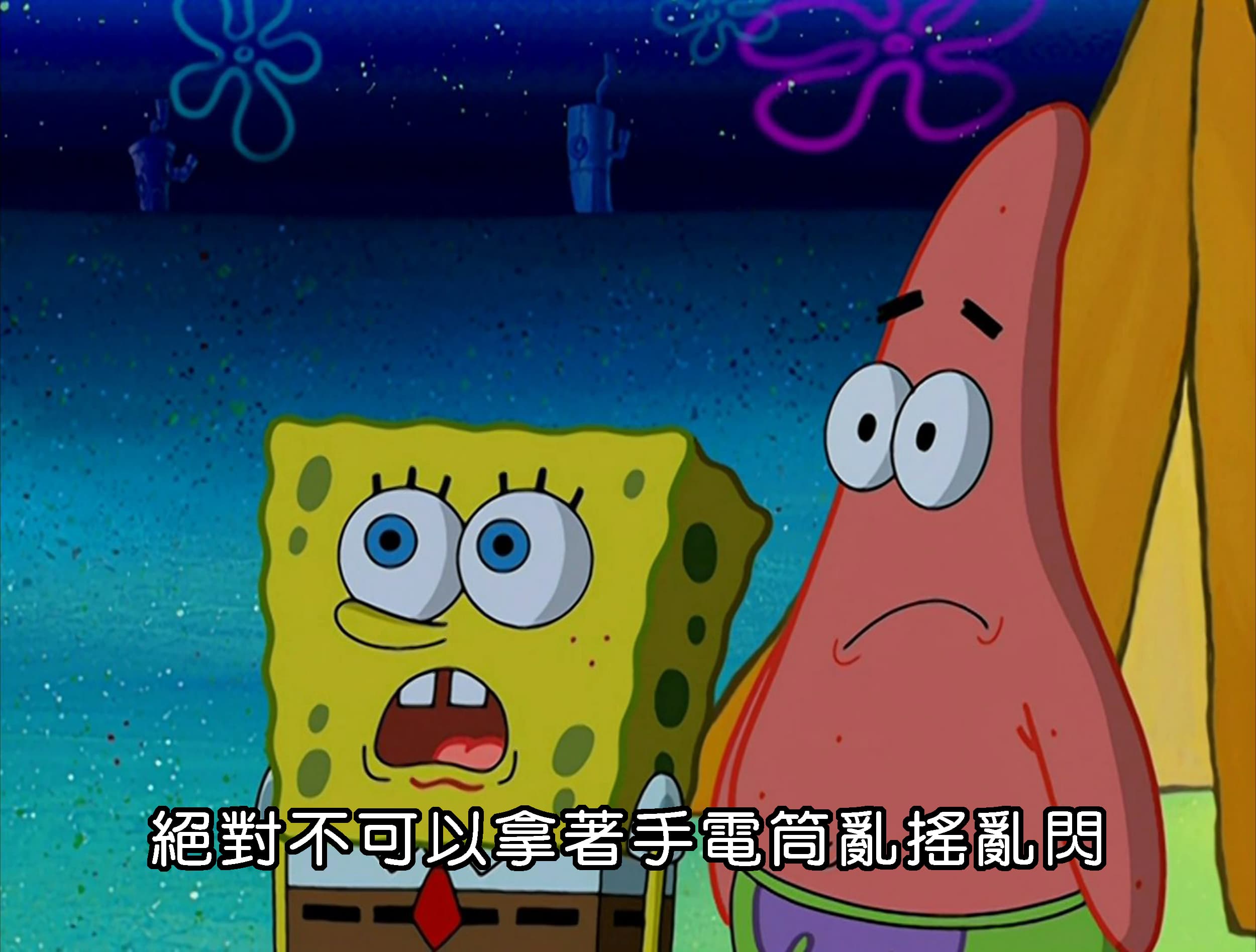 絕對不可以拿著手電筒亂搖亂閃