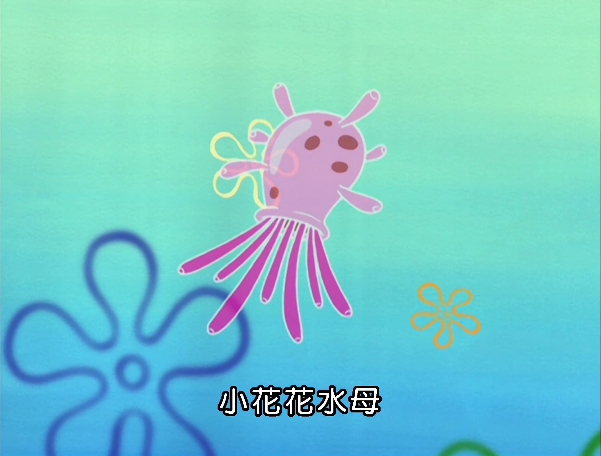 小花花水母