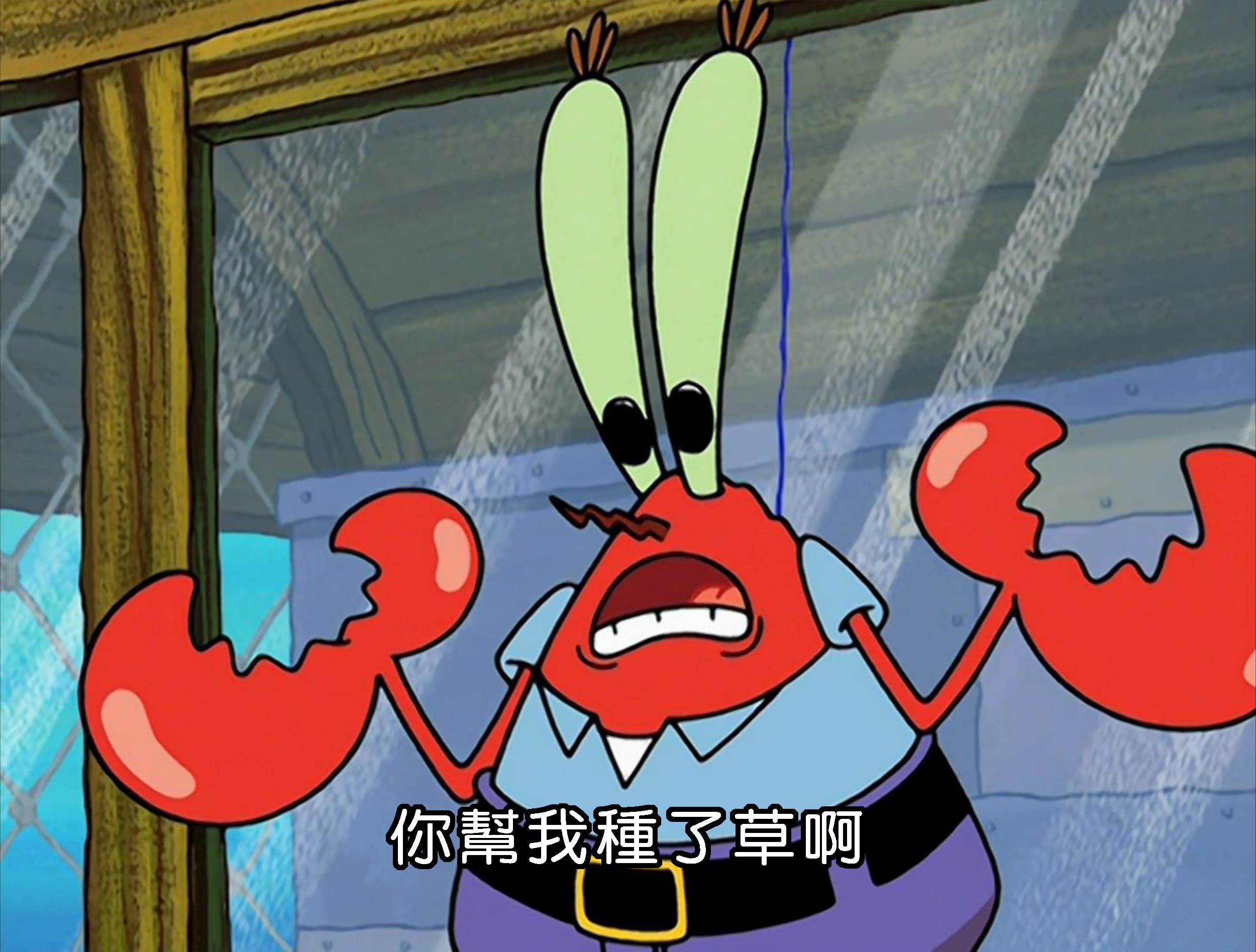 你幫我種了草啊