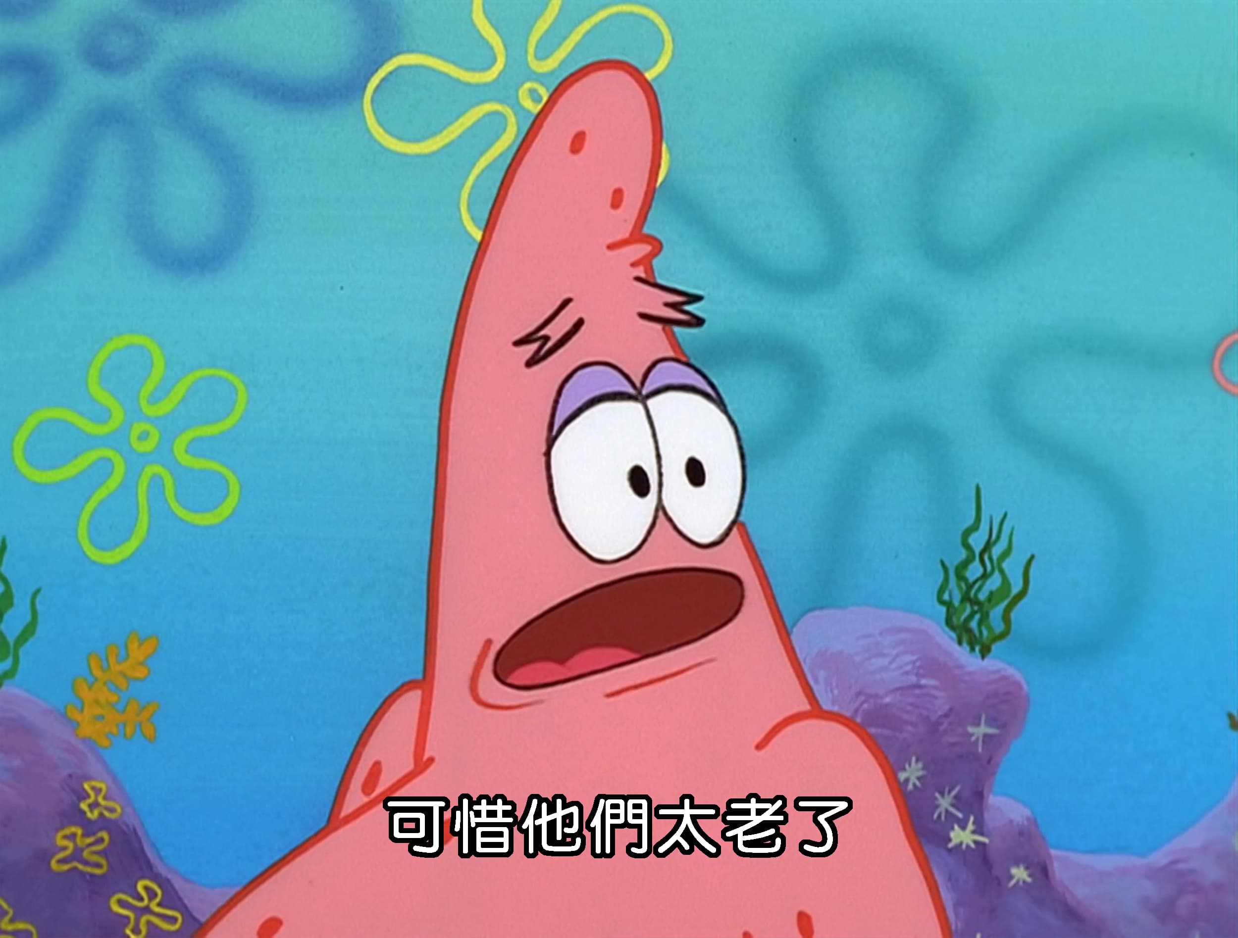 可惜他們太老了