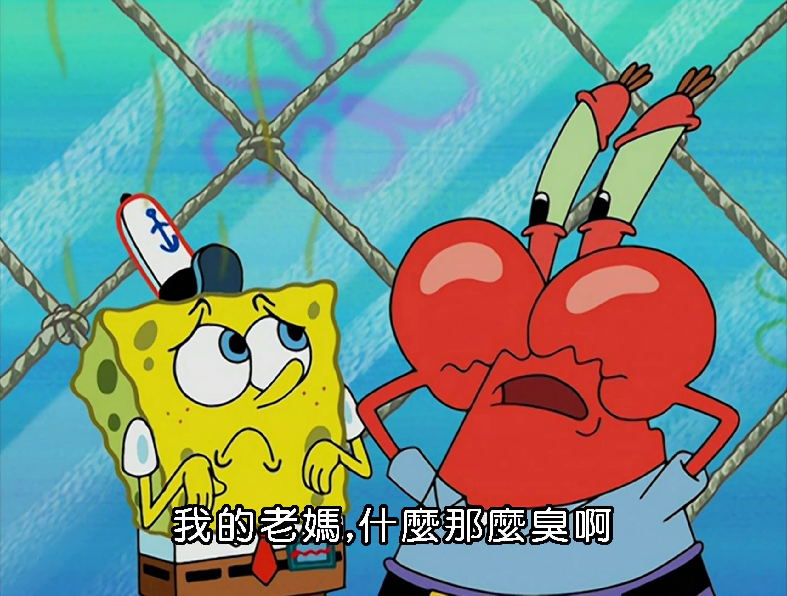 我的老媽 什麼那麼臭啊