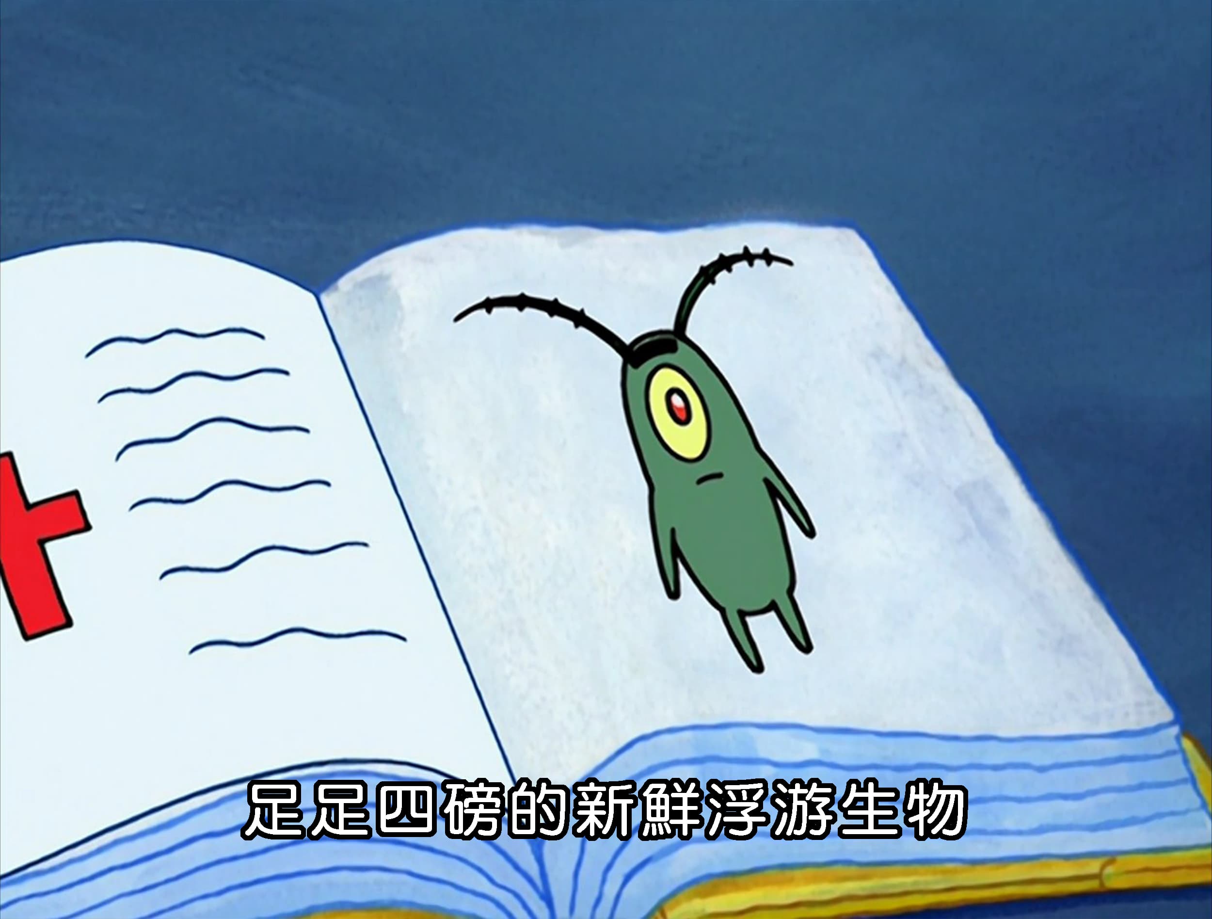 足足四磅的新鮮浮游生物