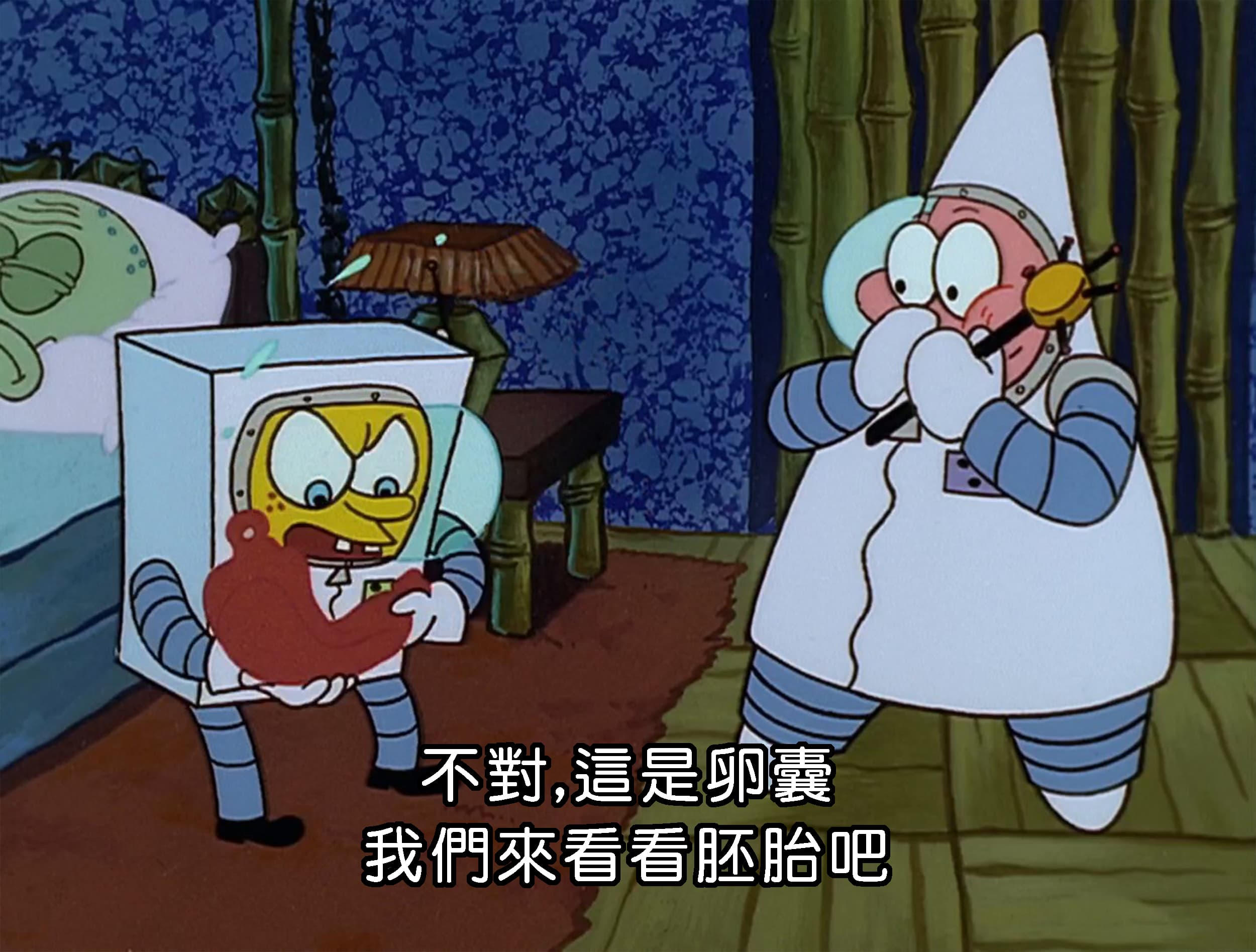 不對 這是卵囊 我們來看看胚胎吧