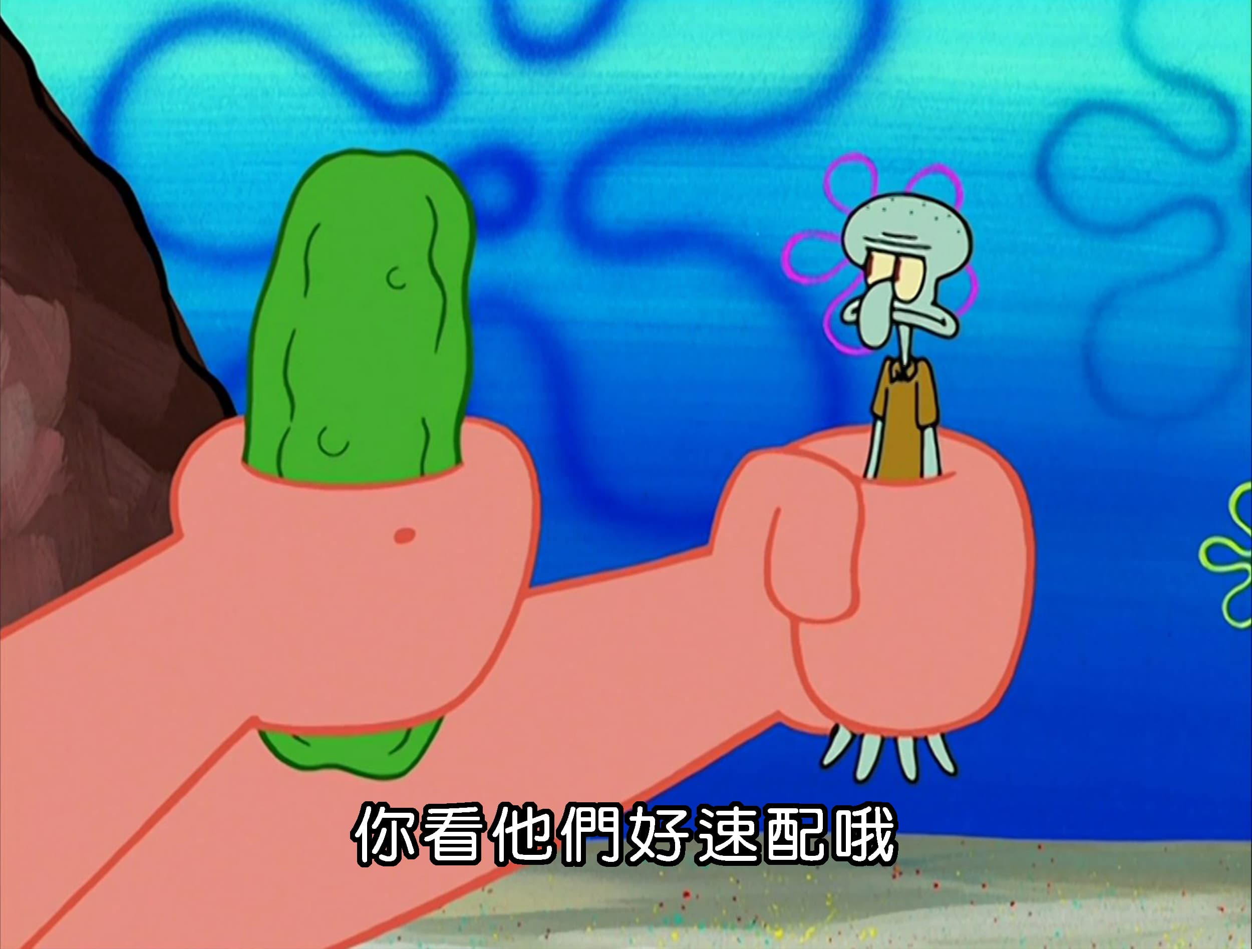 你看他們好速配哦