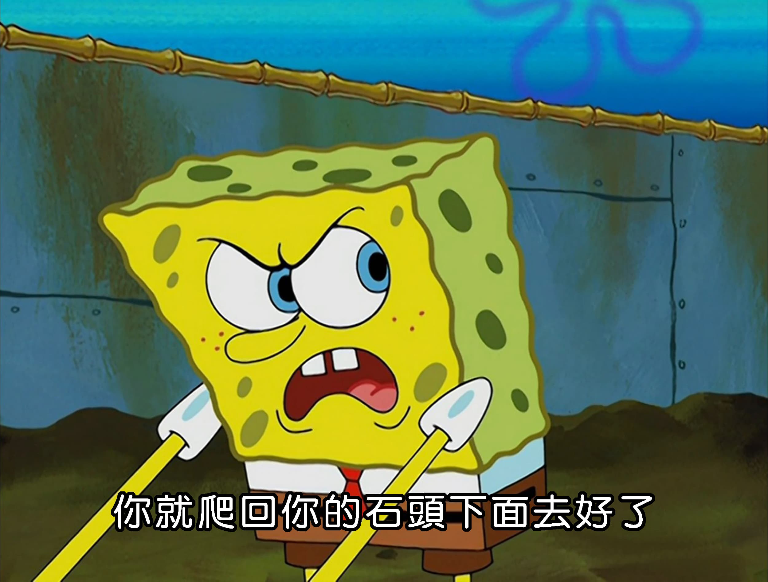 你就爬回你的石頭下面去好了