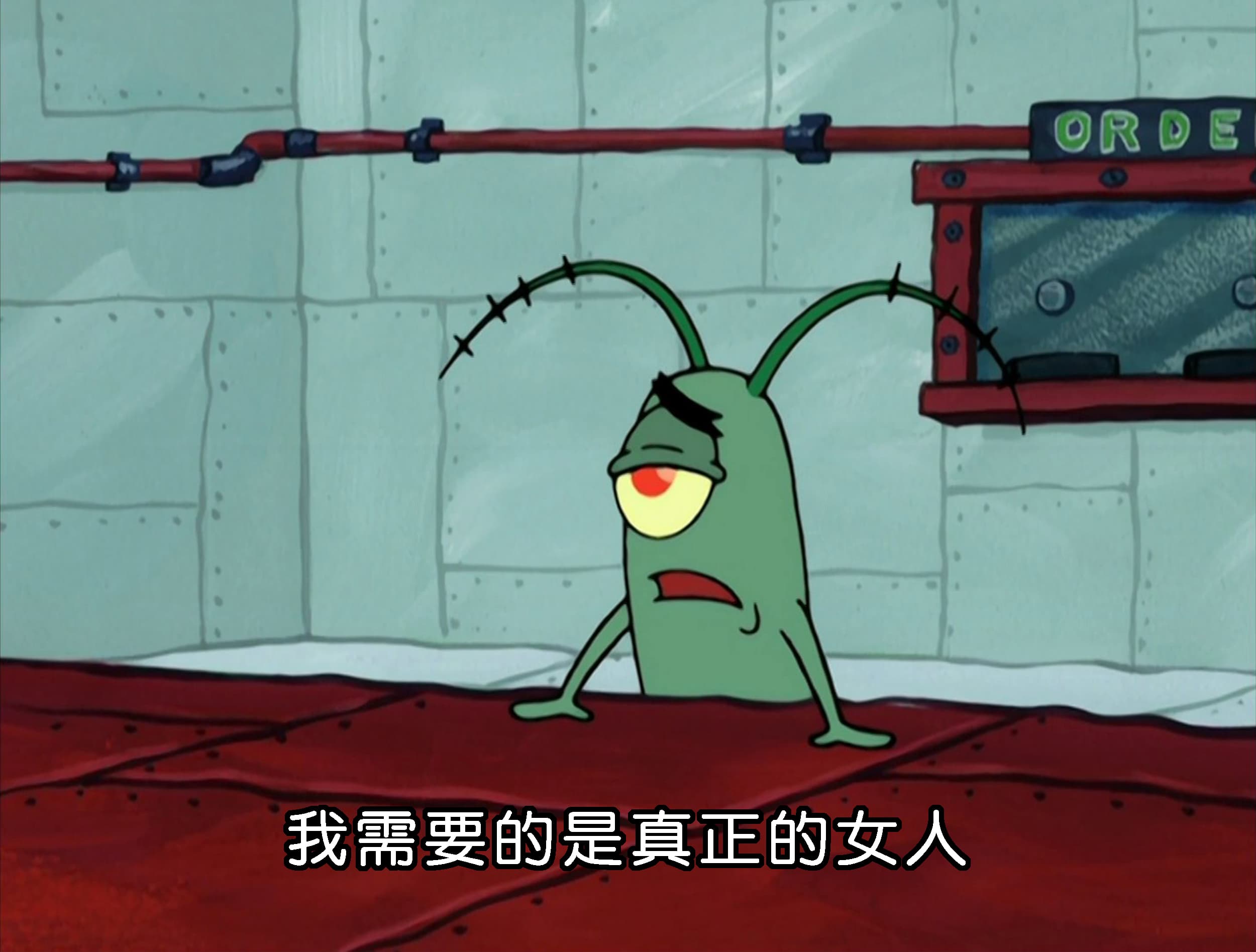 我需要的是真正的女人