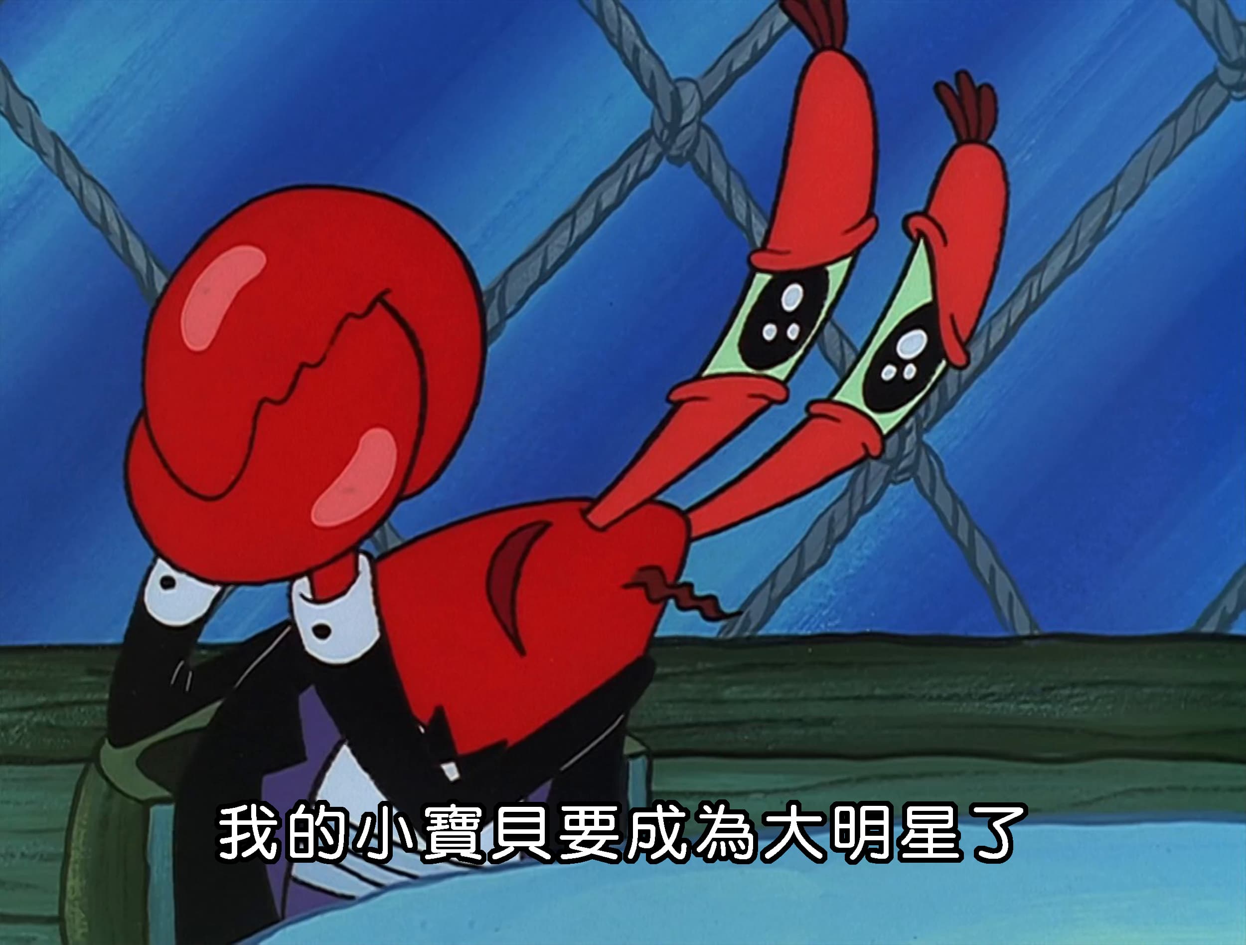 我的小寶貝要成為大明星了