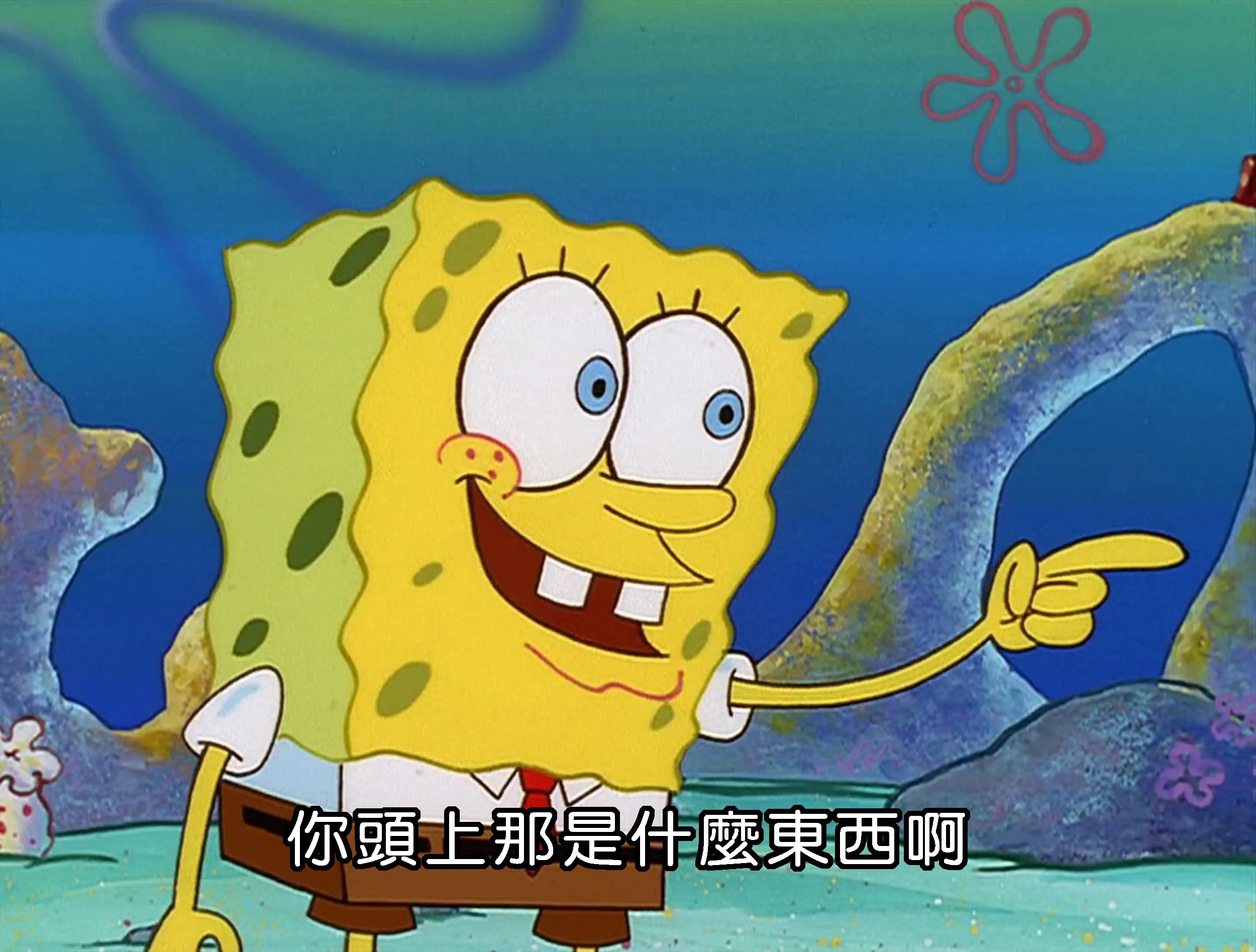 你頭上那是什麼東西啊