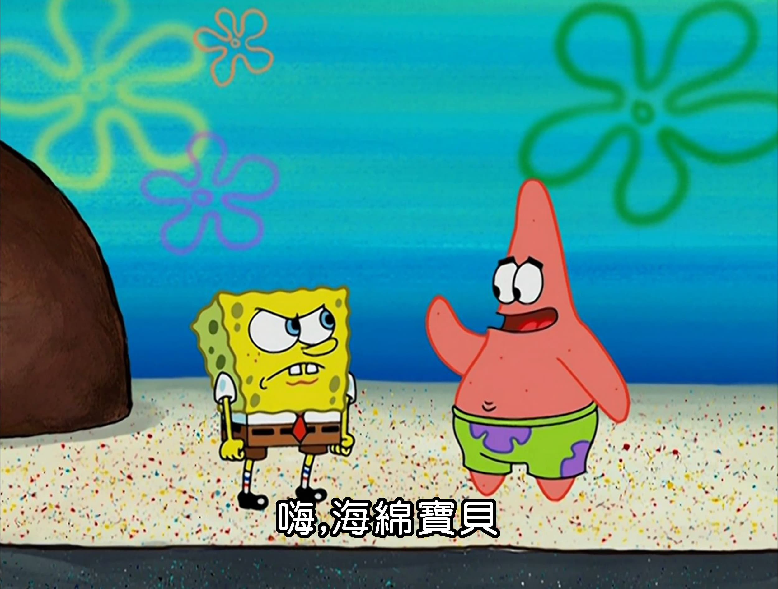 嗨 海綿寶貝