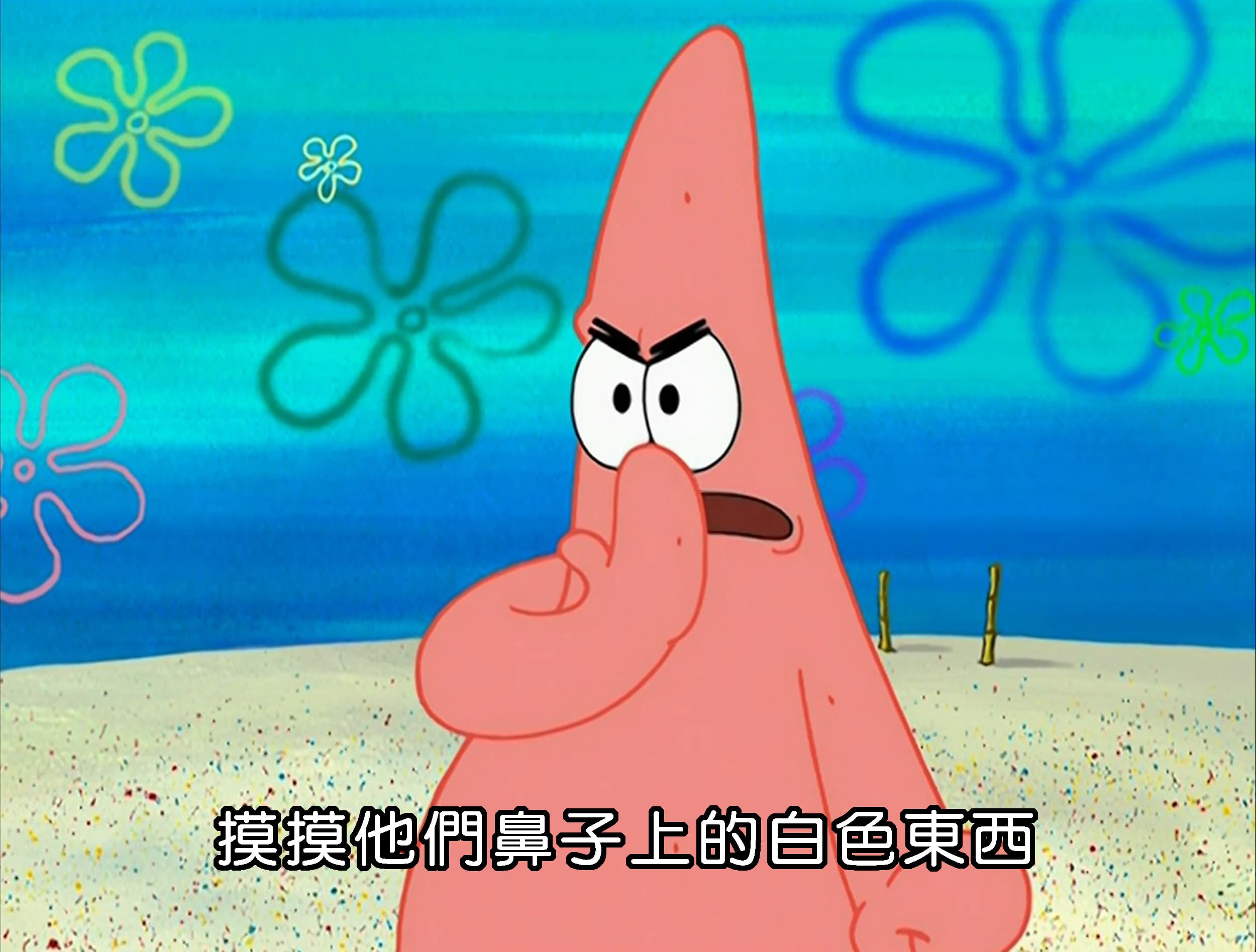 摸摸他們鼻子上的白色東西